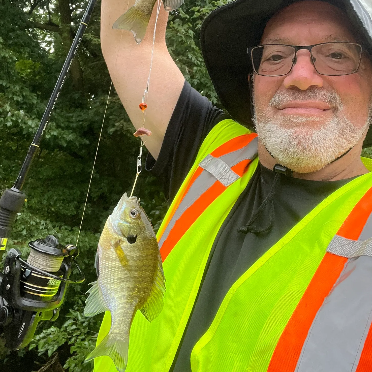 Bluegill caught on Fishbrain