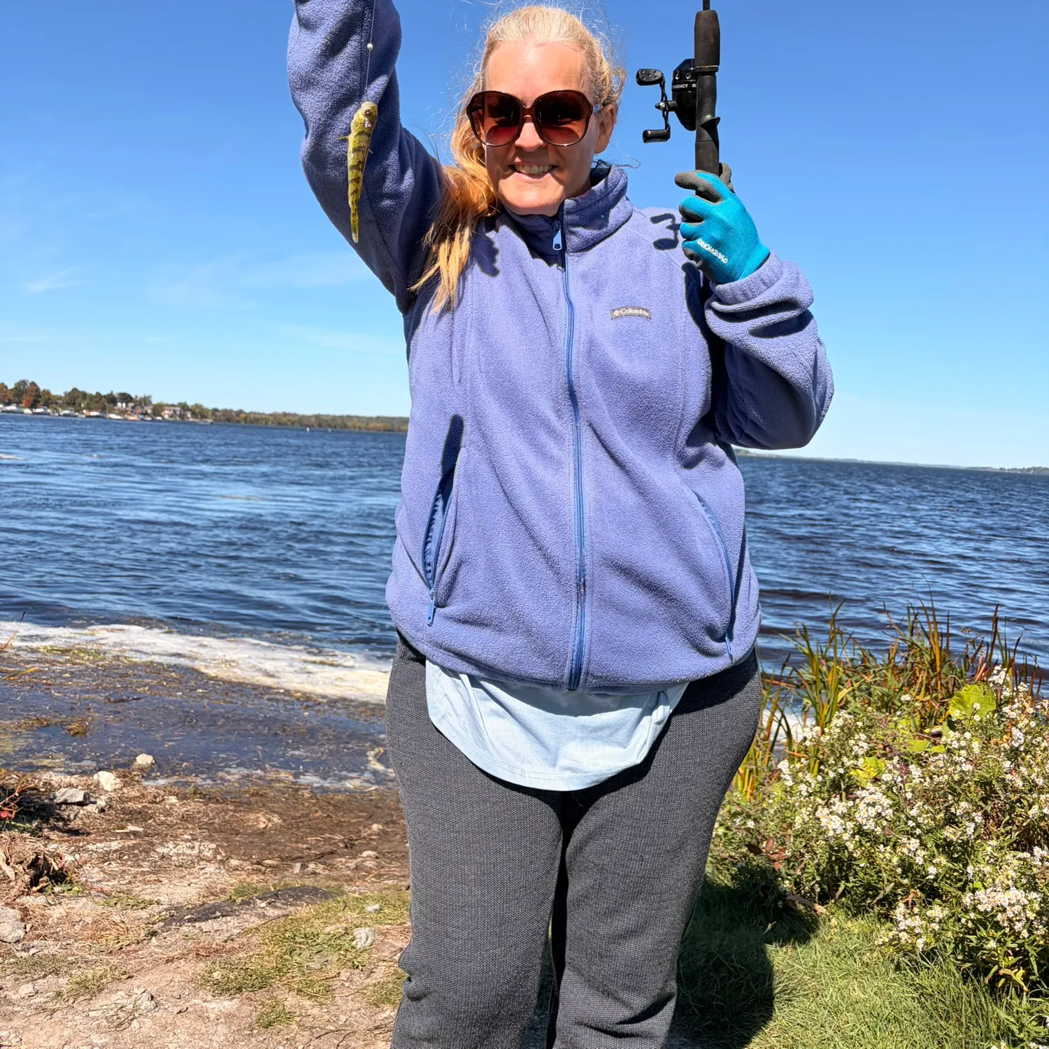 Yellow perch caught on Fishbrain