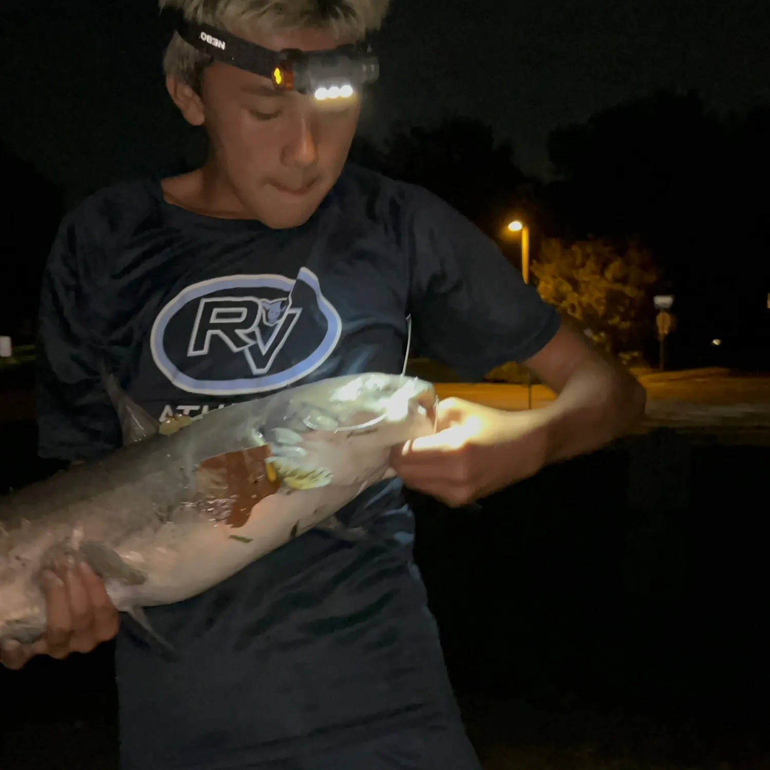 Channel catfish caught on Fishbrain
