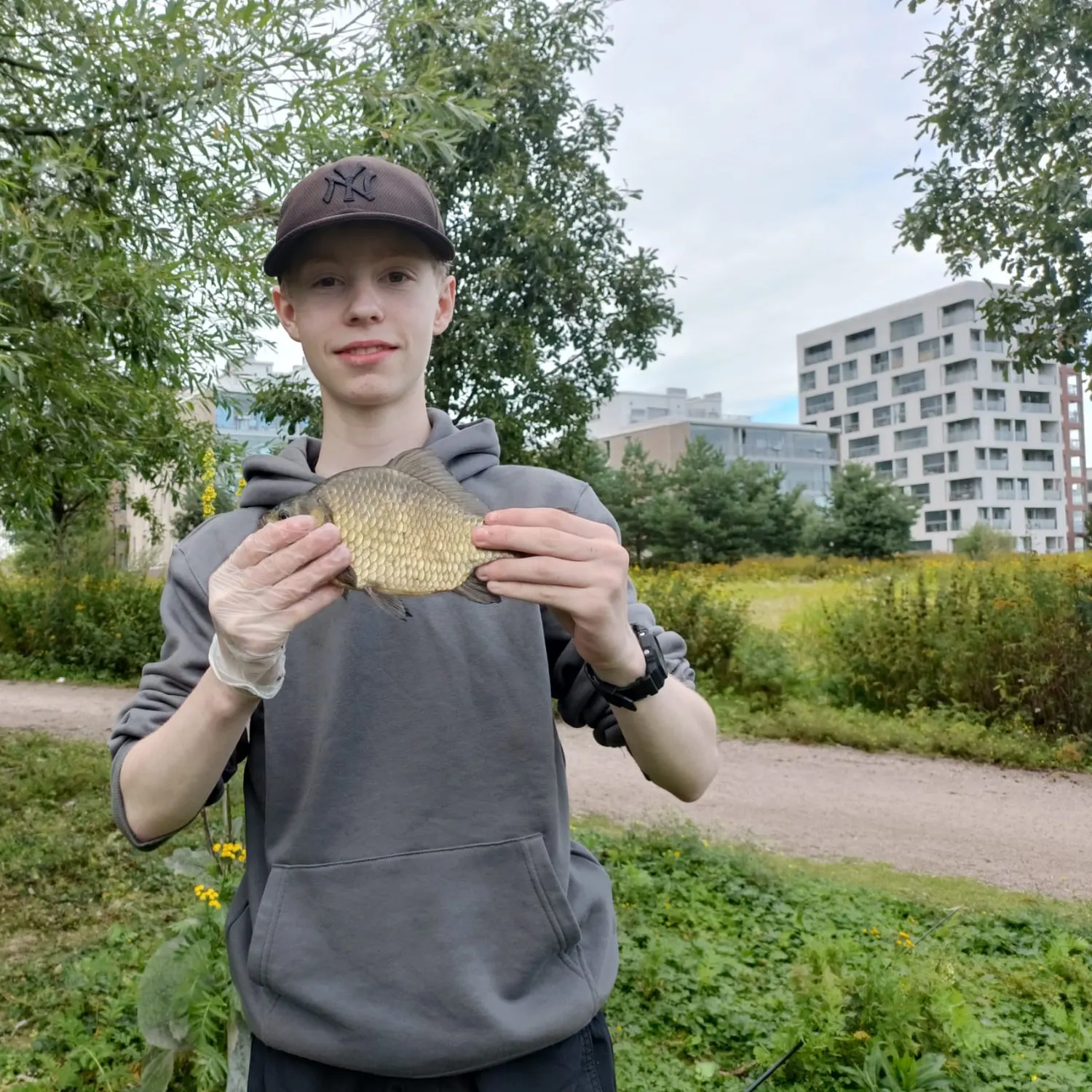 The most recent Prussian carp catches on Fishbrain