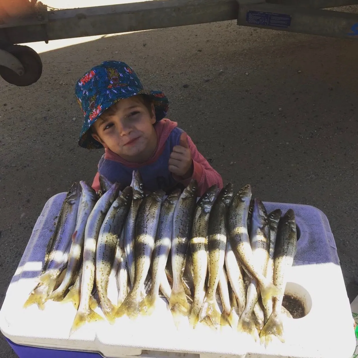 King George whiting caught on Fishbrain