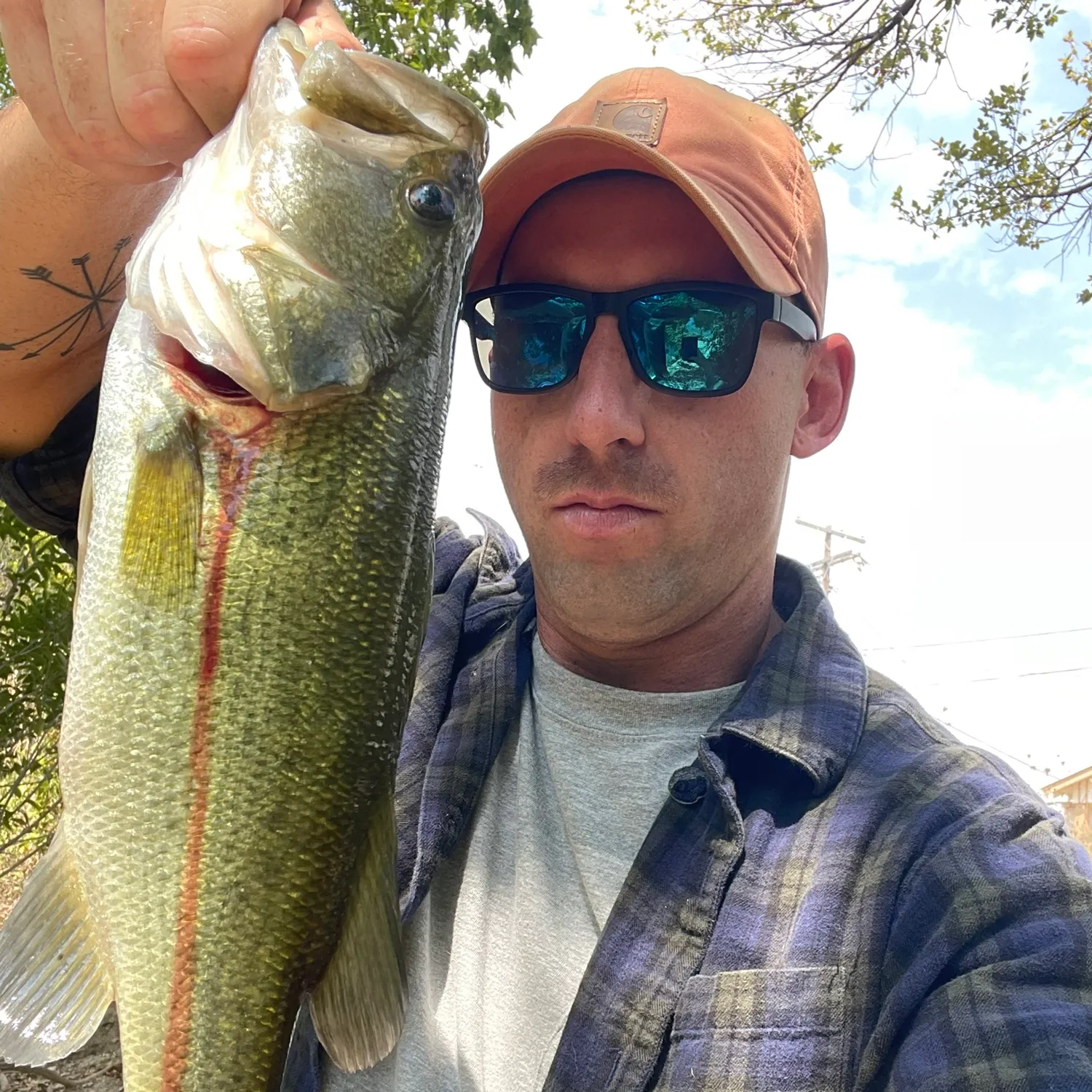 Largemouth bass caught on Fishbrain