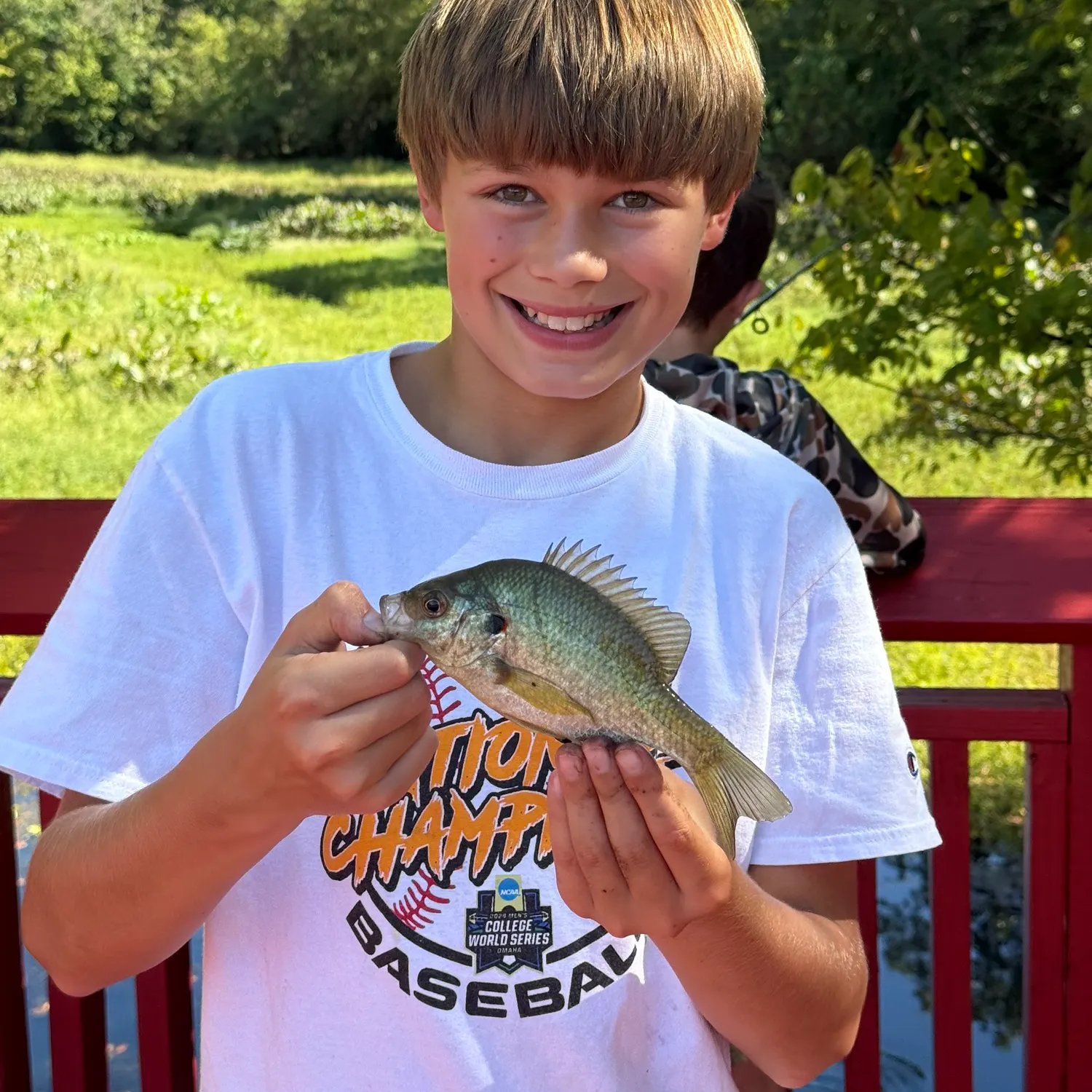 Redear sunfish caught on Fishbrain
