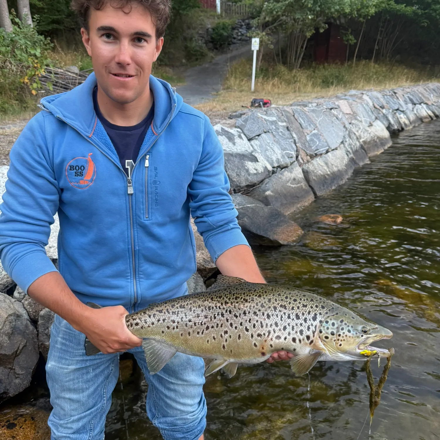 Sea trout caught on Fishbrain