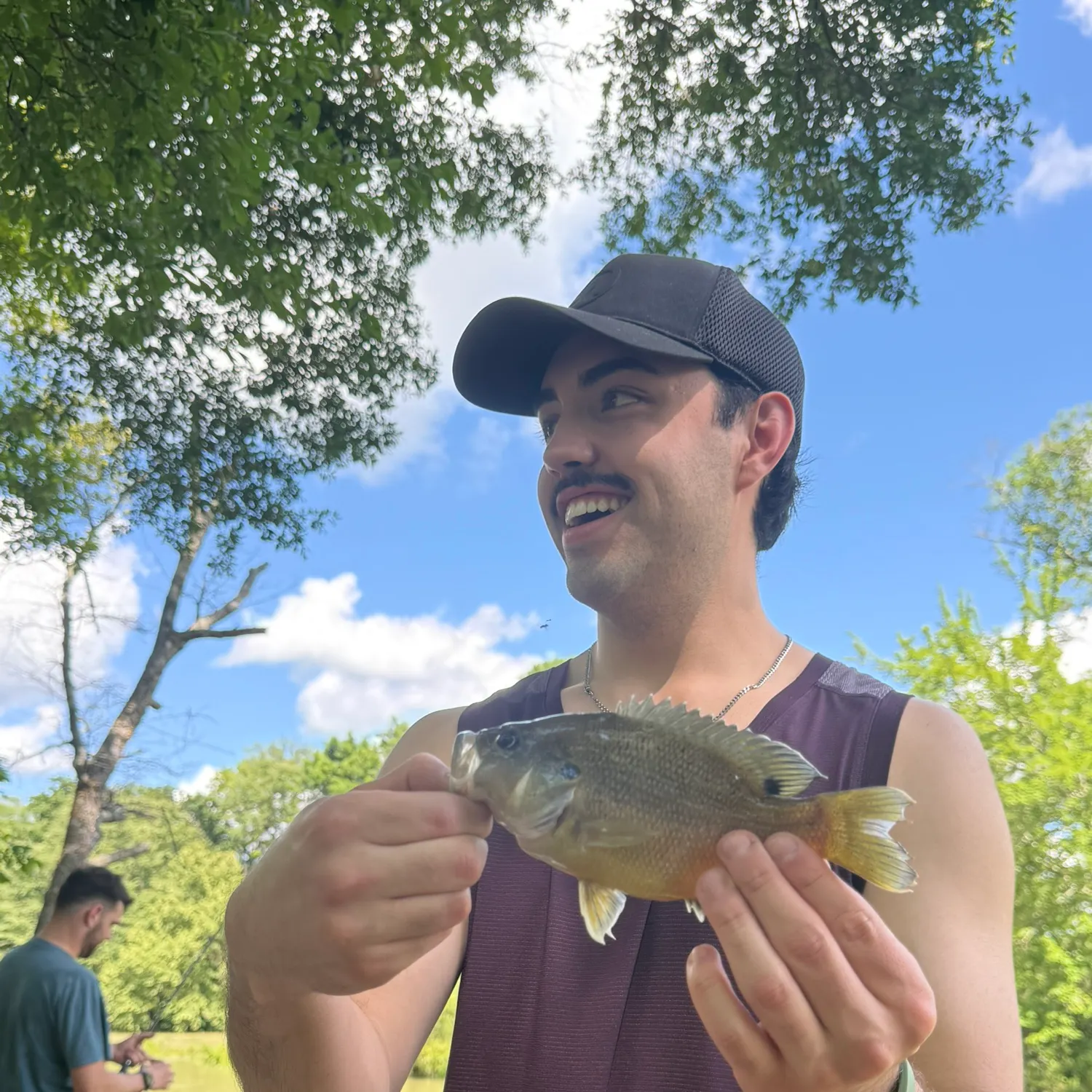 The most recent Green sunfish catches on Fishbrain