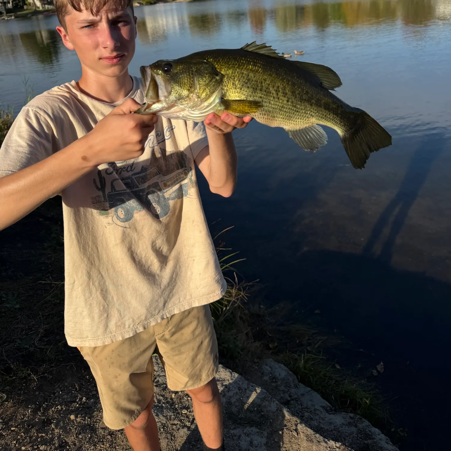 Largemouth bass caught on Fishbrain