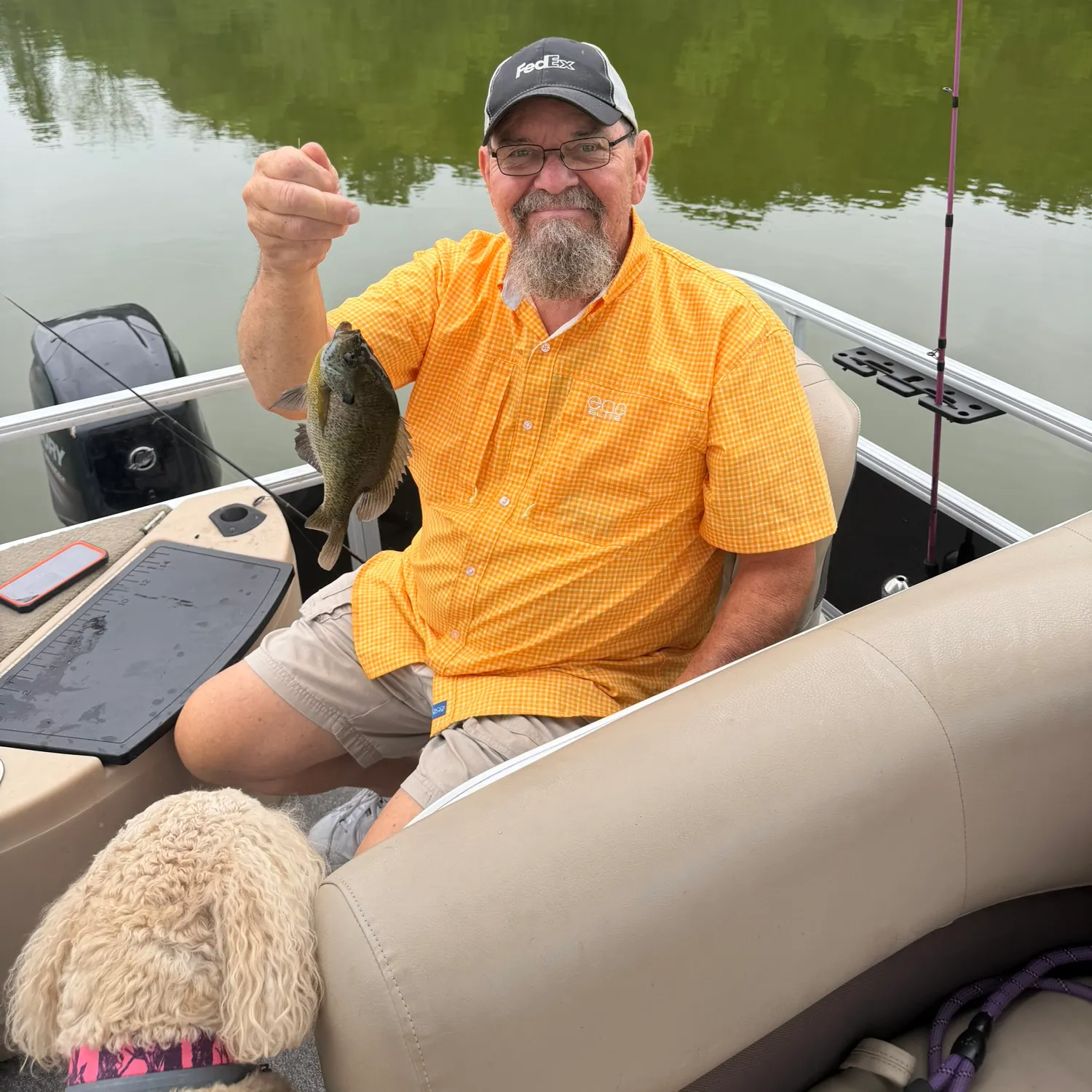 Bluegill caught on Fishbrain