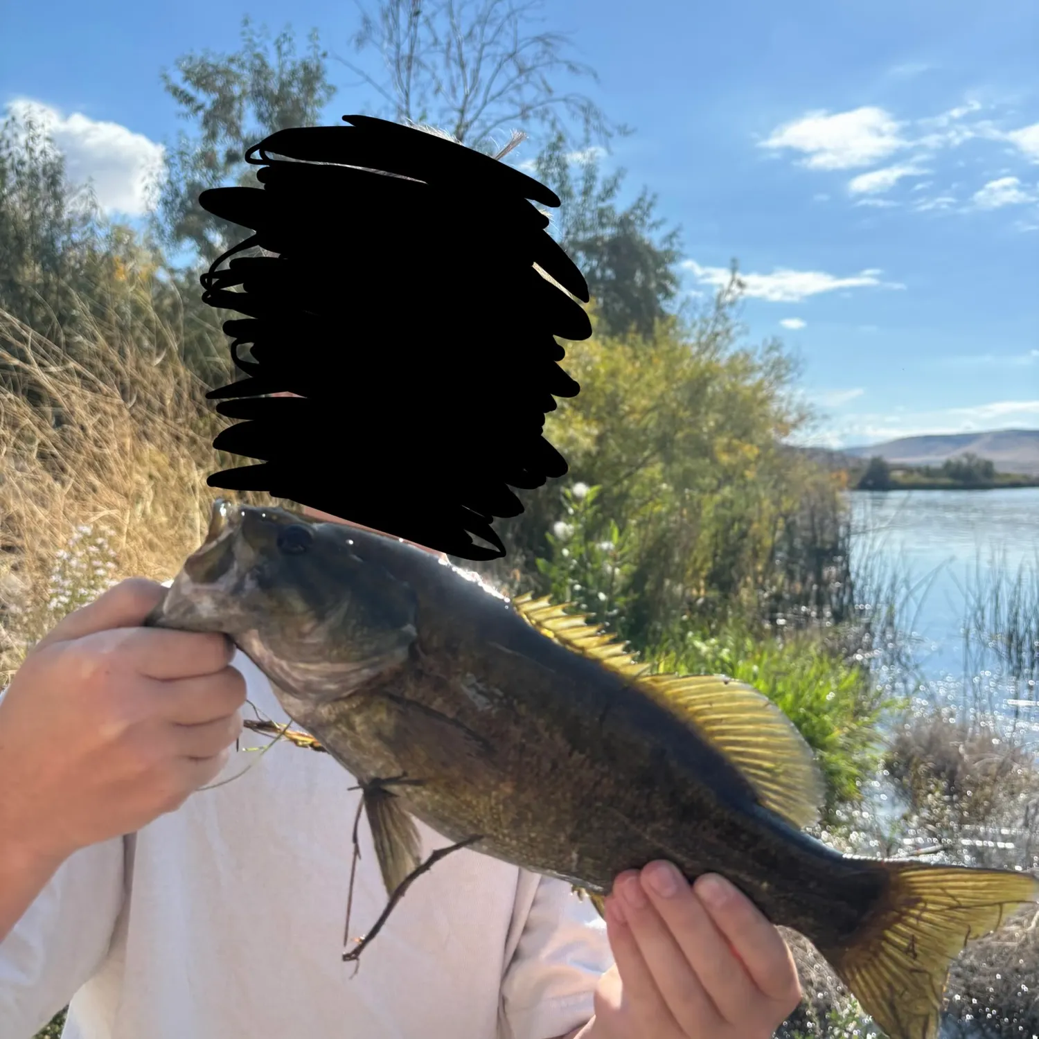 Smallmouth bass caught on Fishbrain