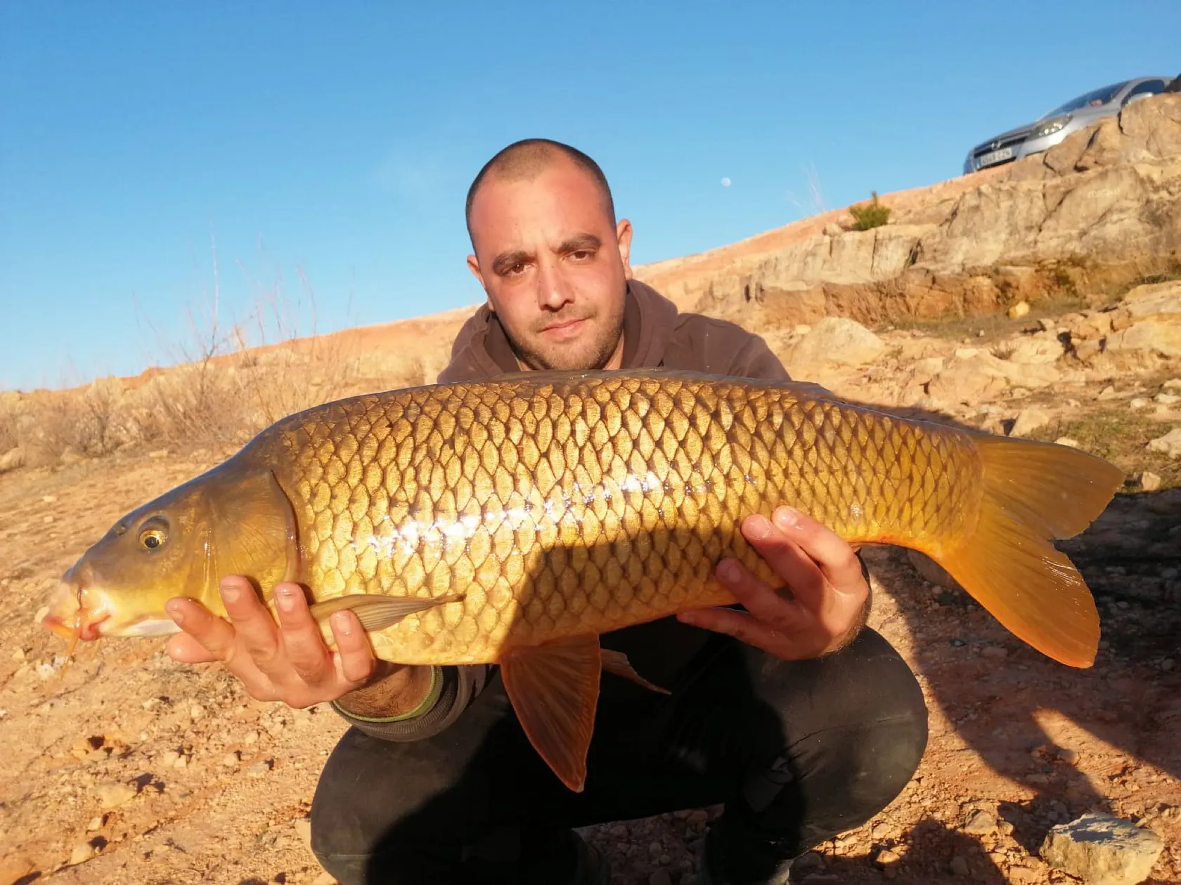 Post image from aperez8411