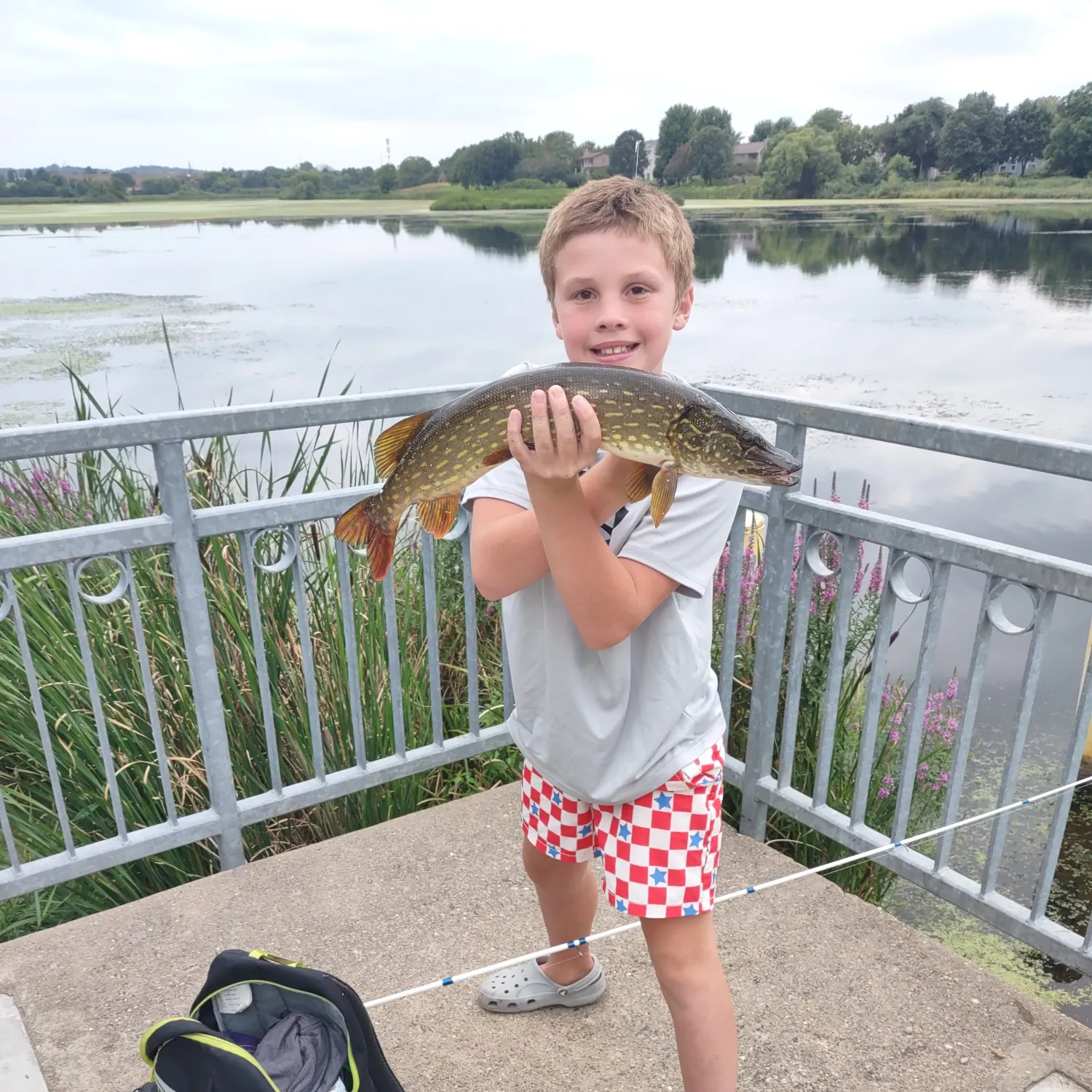 Northern pike caught on Fishbrain