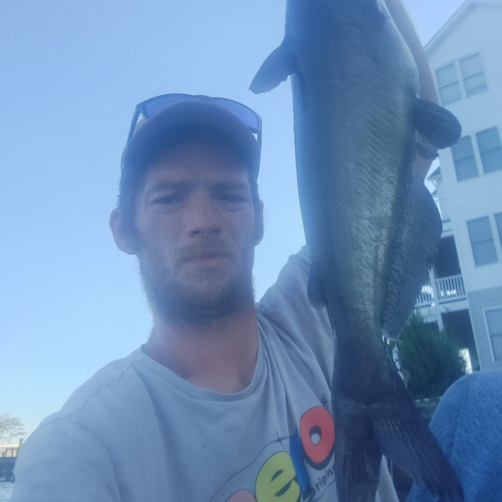 Blue catfish caught on Fishbrain