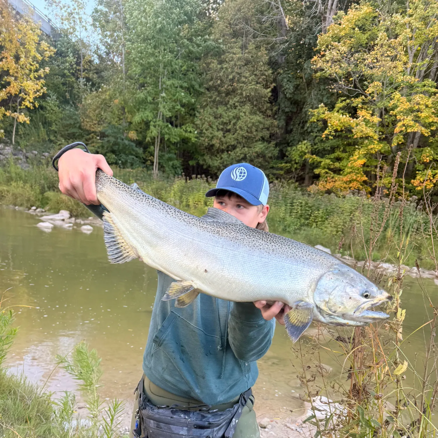 Chinook salmon caught on Fishbrain