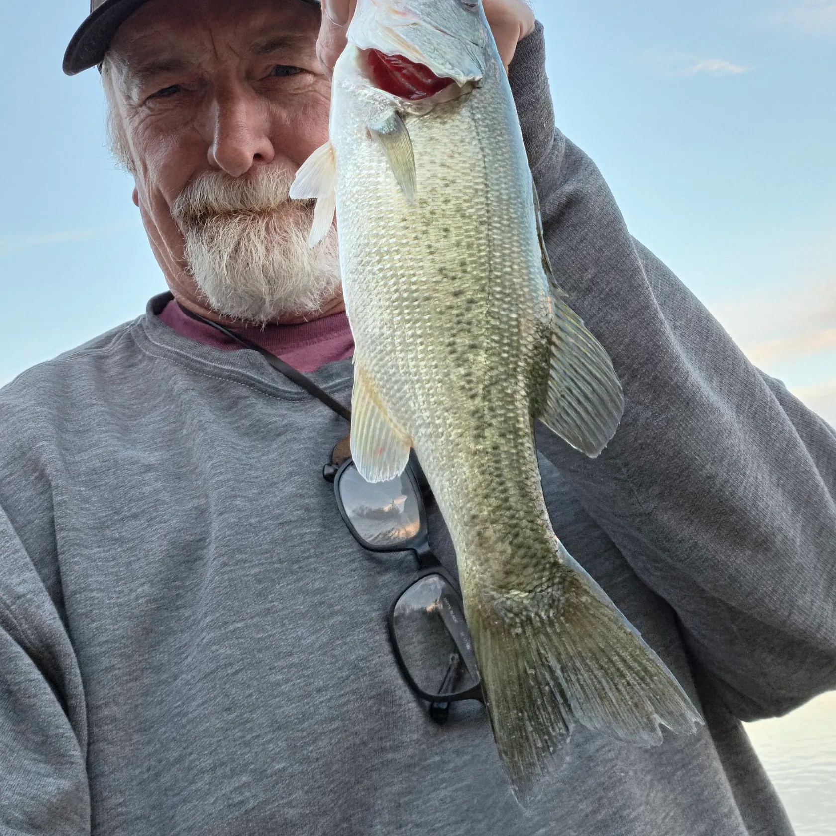 Largemouth bass caught on Fishbrain