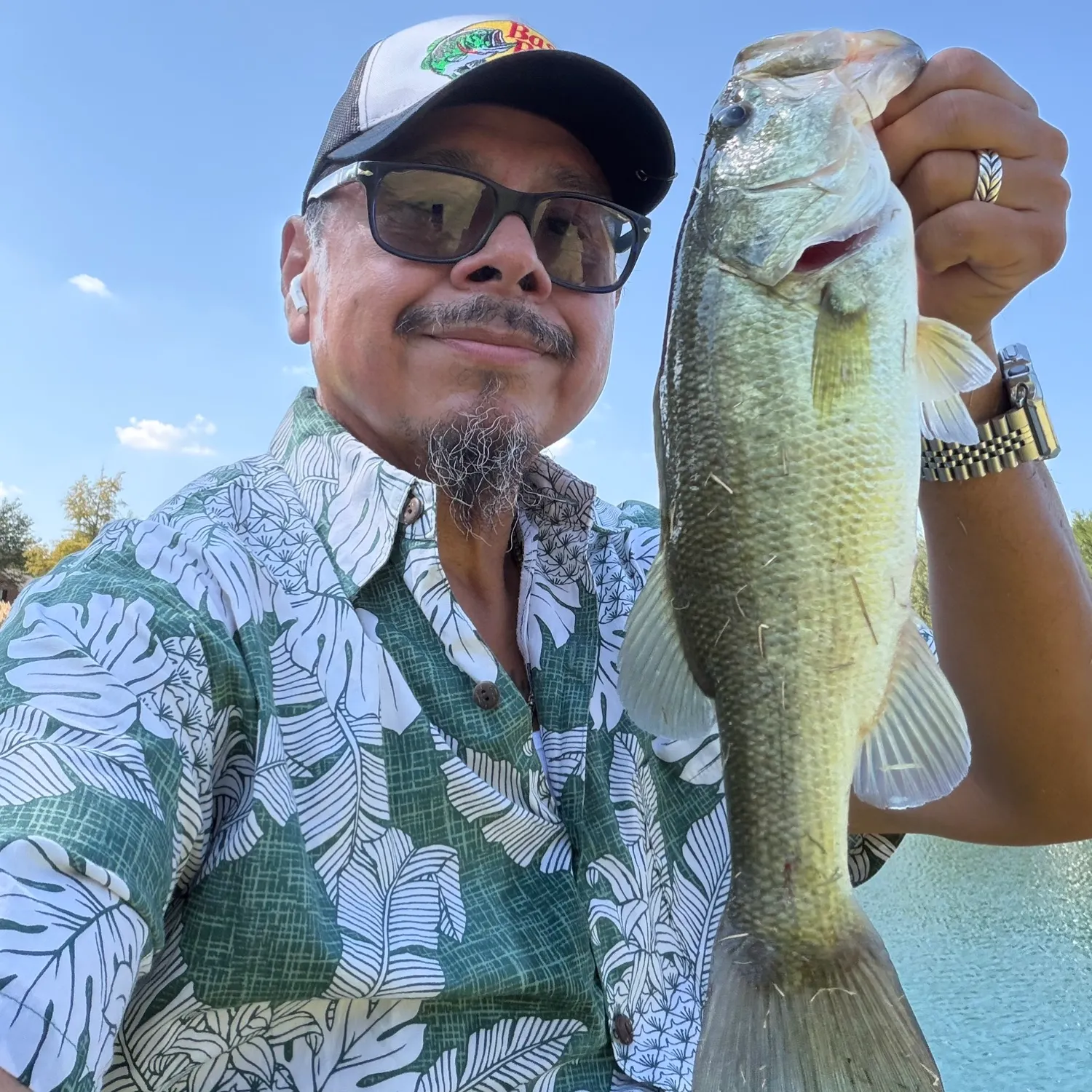 Largemouth bass caught on Fishbrain