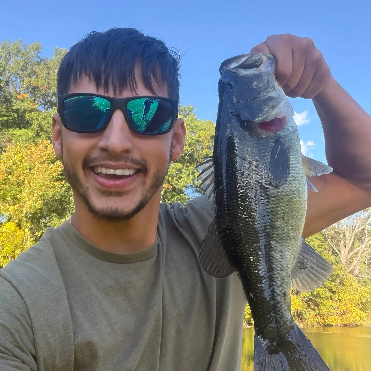 Largemouth bass caught on Fishbrain