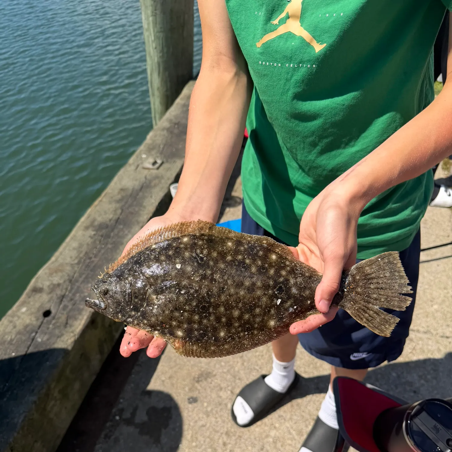 Summer flounder caught on Fishbrain