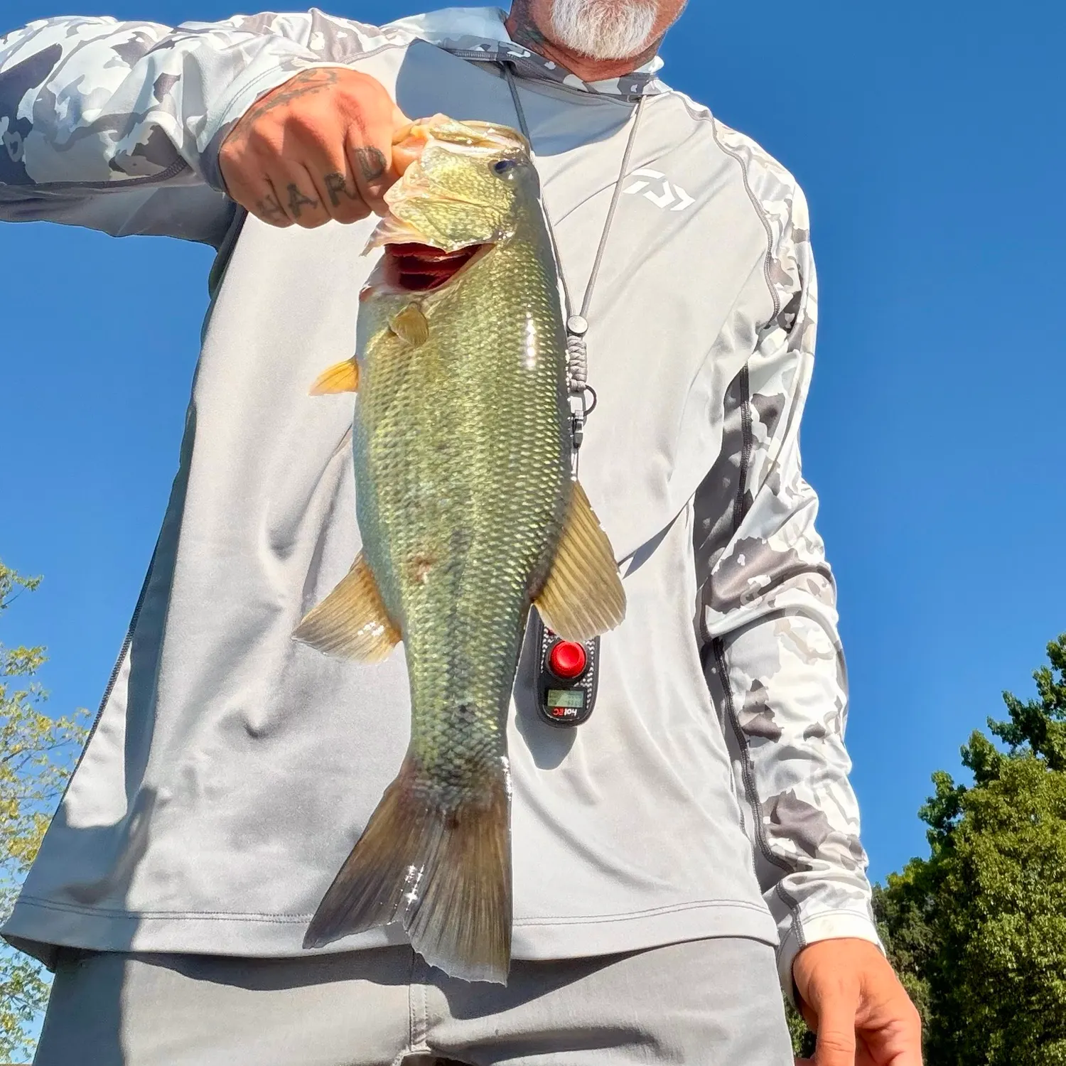 Largemouth bass caught on Fishbrain