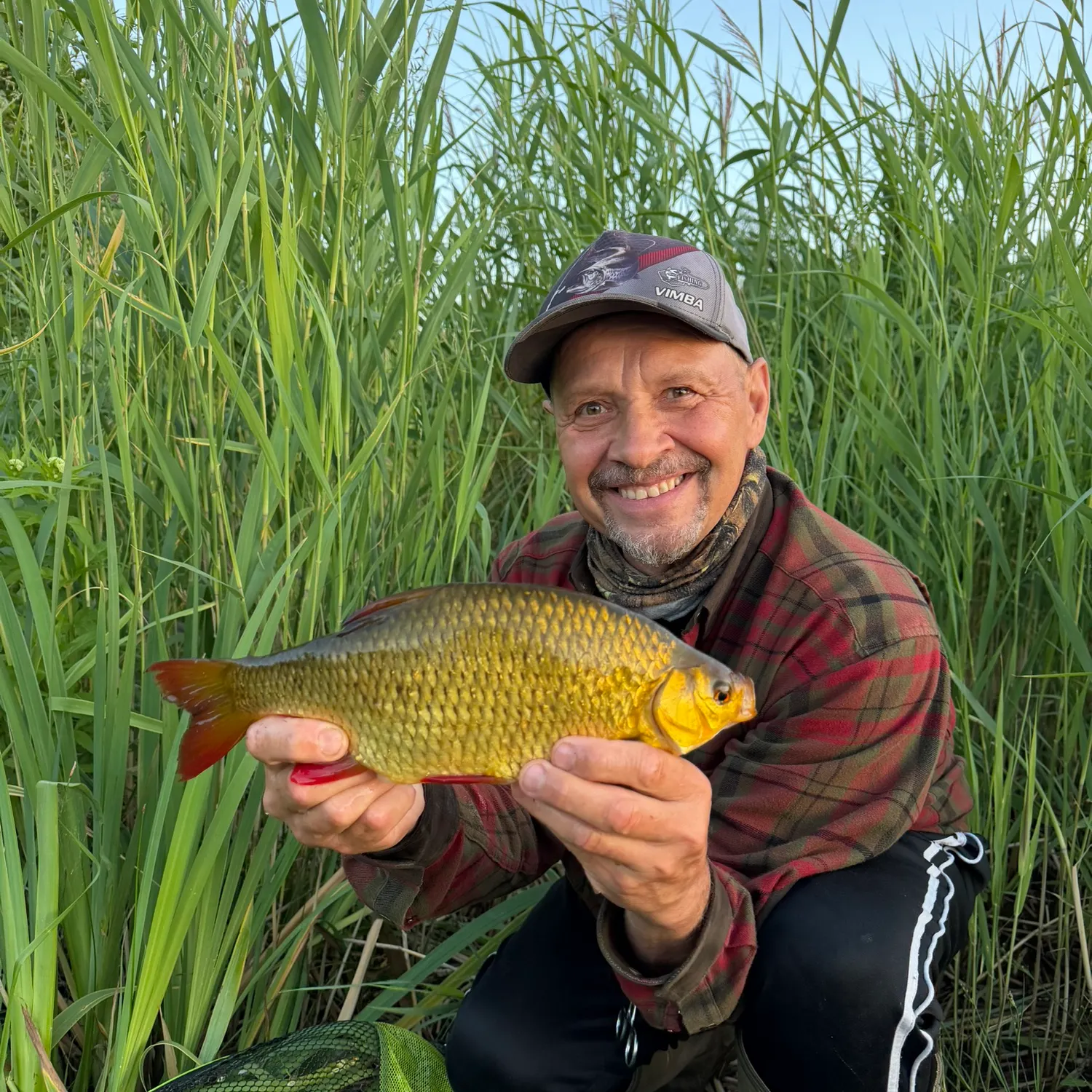 The most recent Tench catches on Fishbrain
