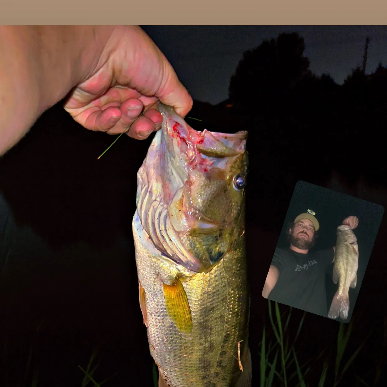 Largemouth bass caught on Fishbrain