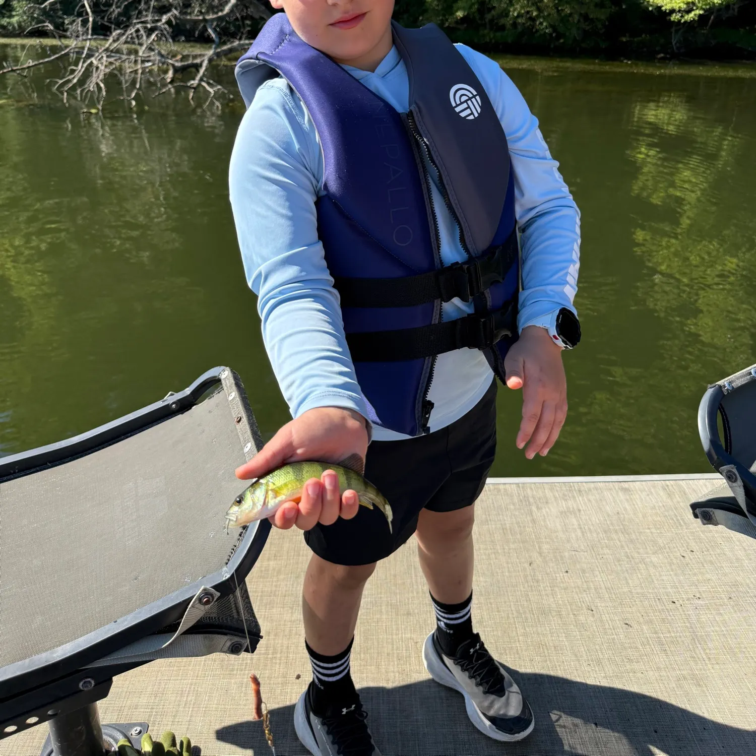 Yellow perch caught on Fishbrain