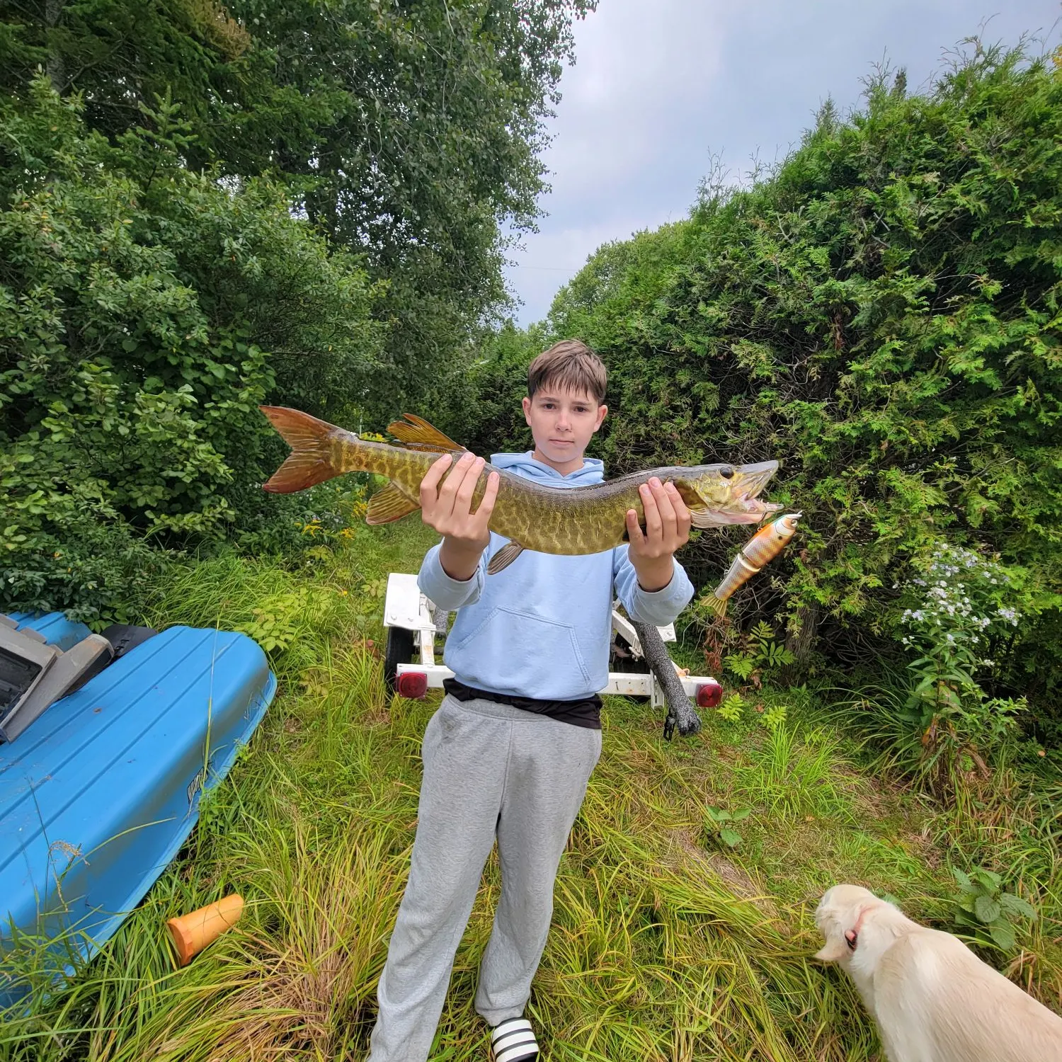 Muskie caught on Fishbrain