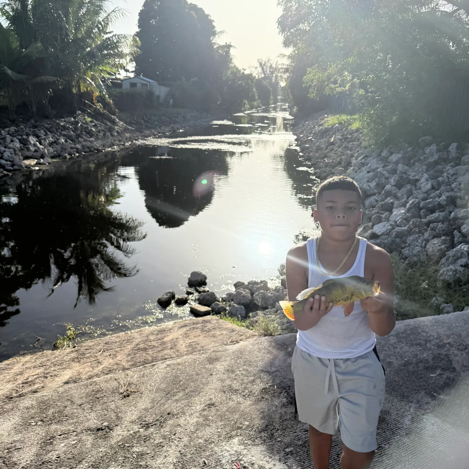 Butterfly peacock bass caught on Fishbrain