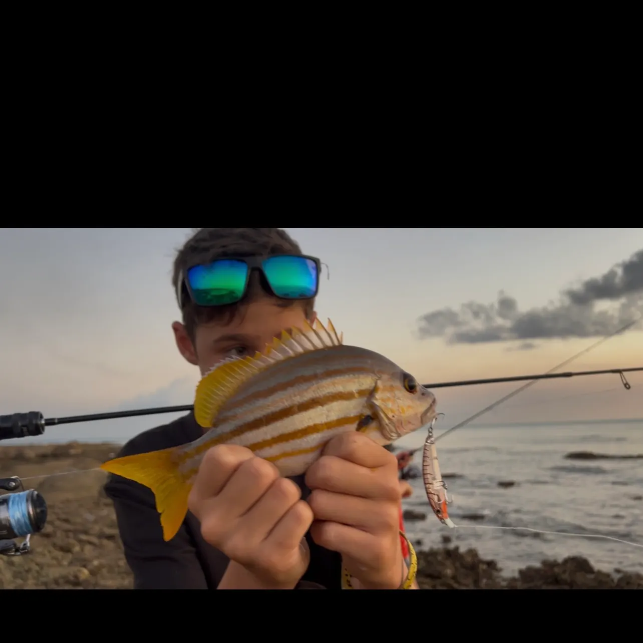The most recent Spanish flag snapper catches on Fishbrain