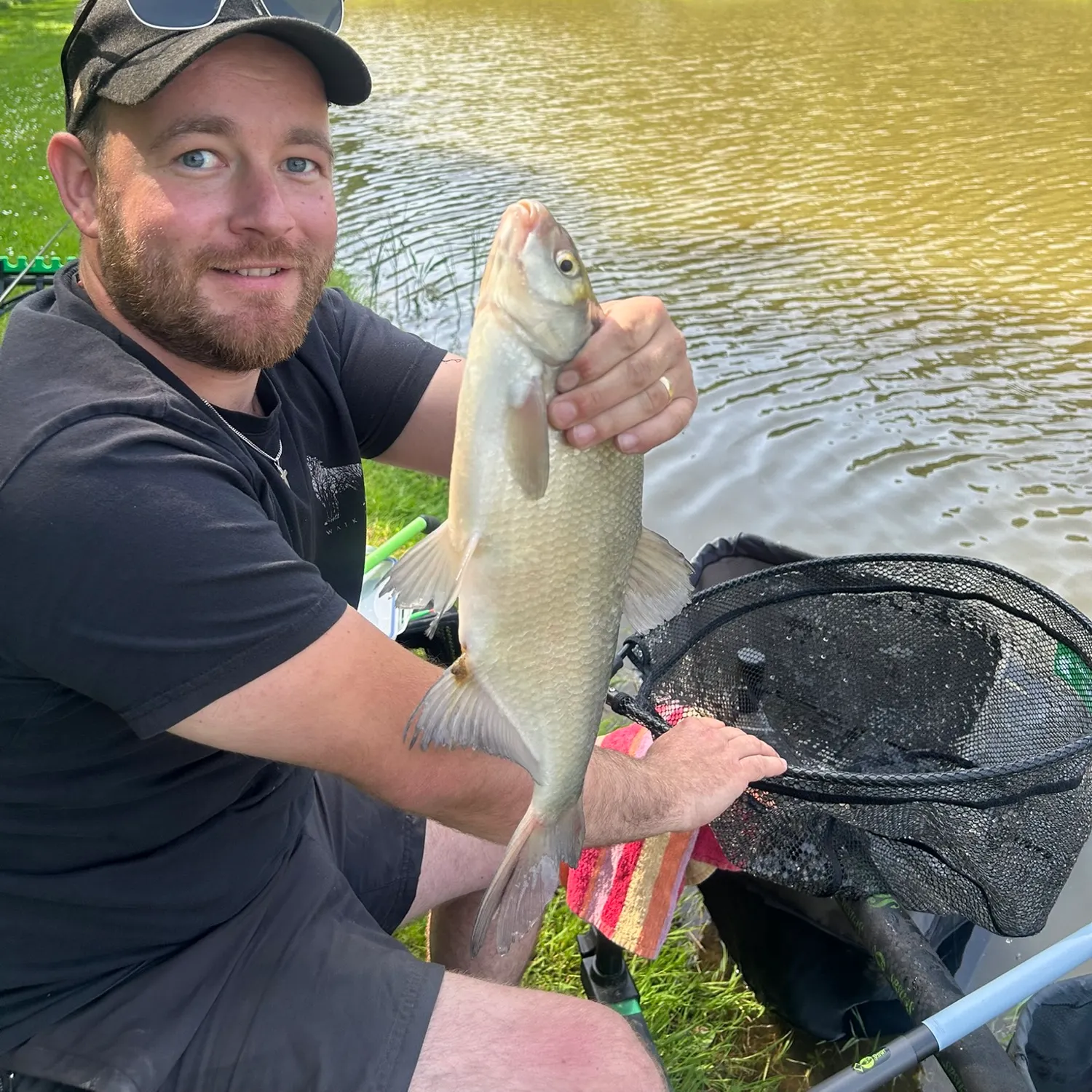 Common bream caught on Fishbrain