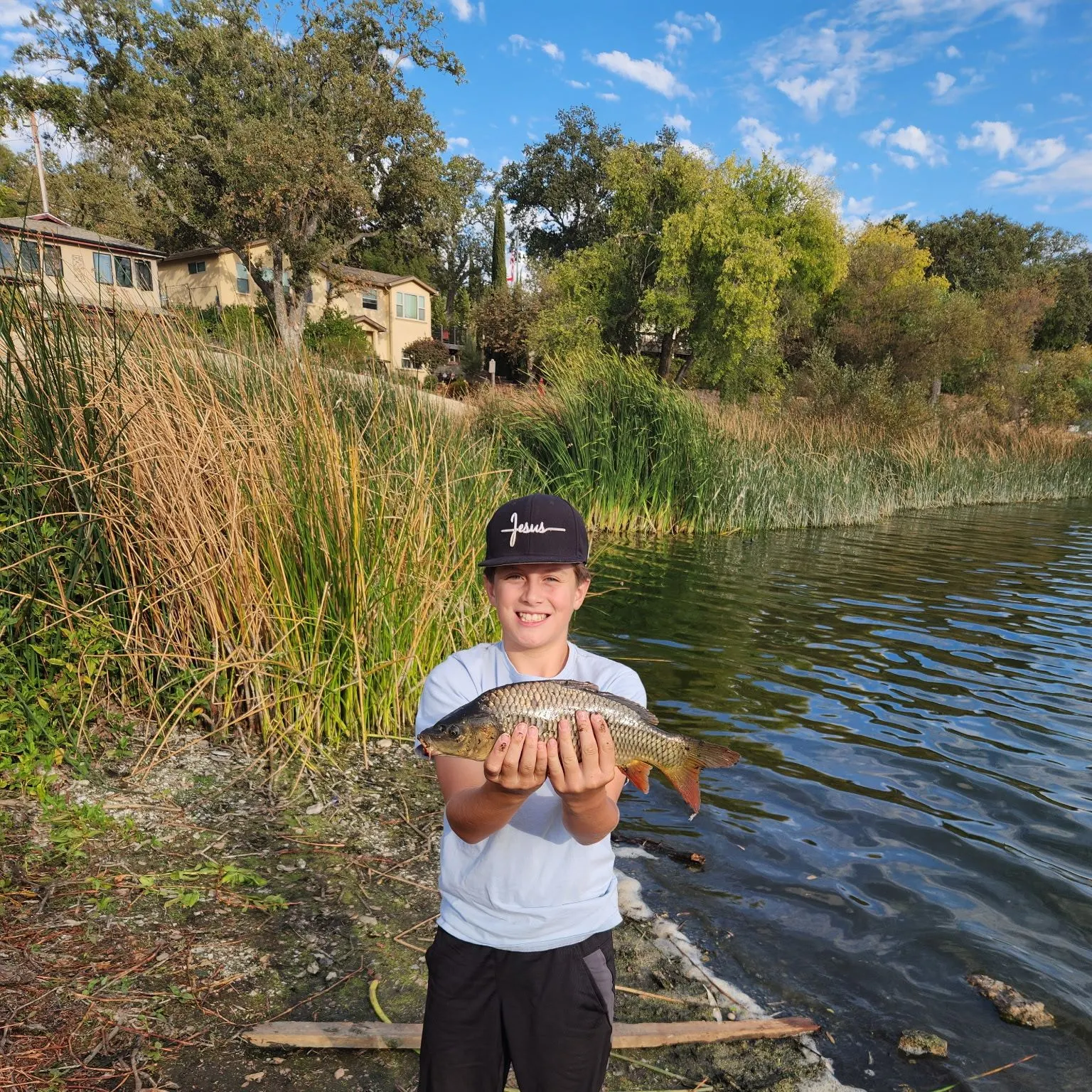 Common carp caught on Fishbrain