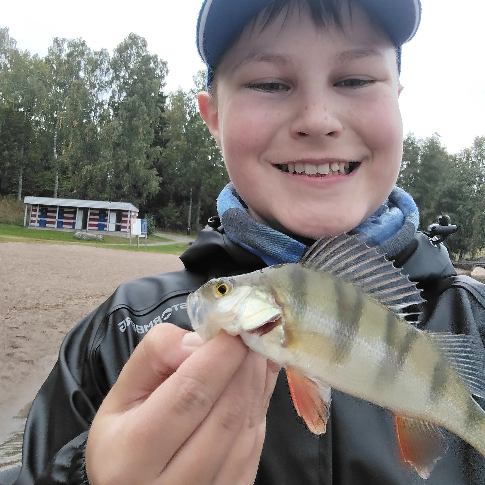 European perch caught on Fishbrain