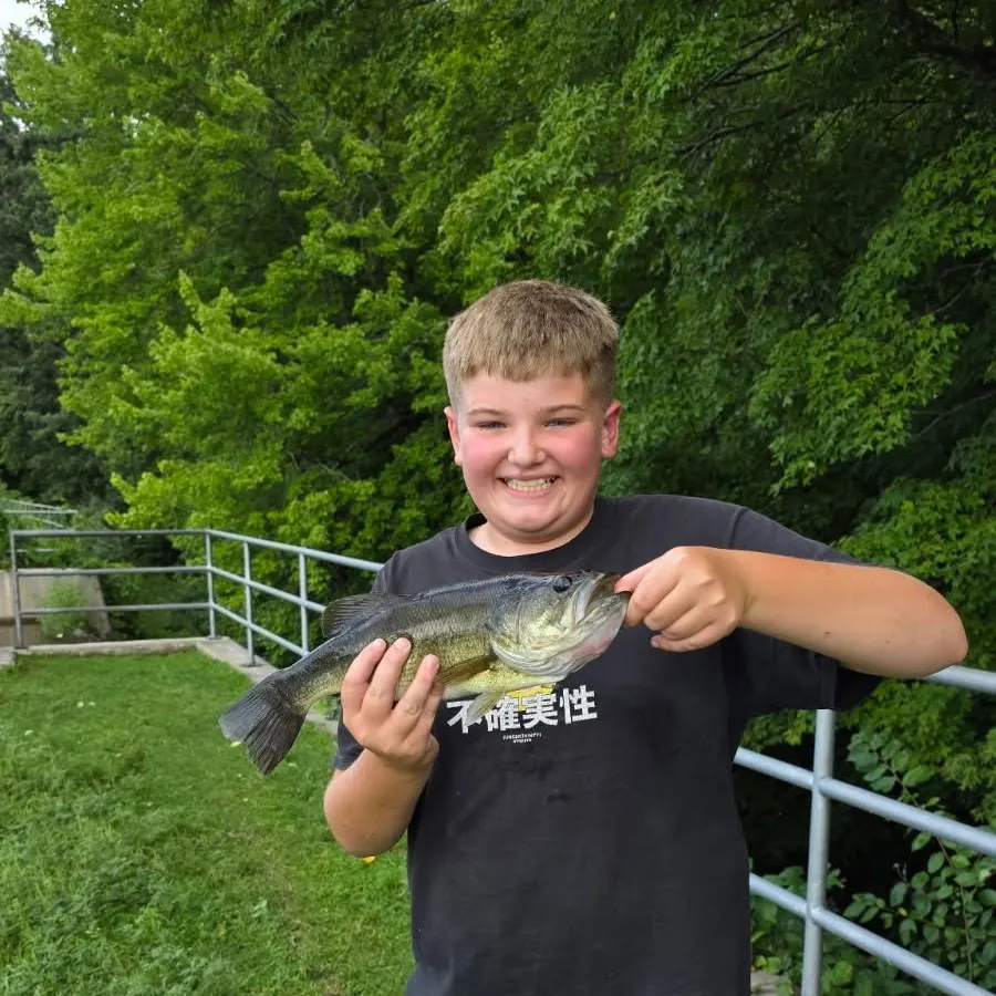 Largemouth bass caught on Fishbrain
