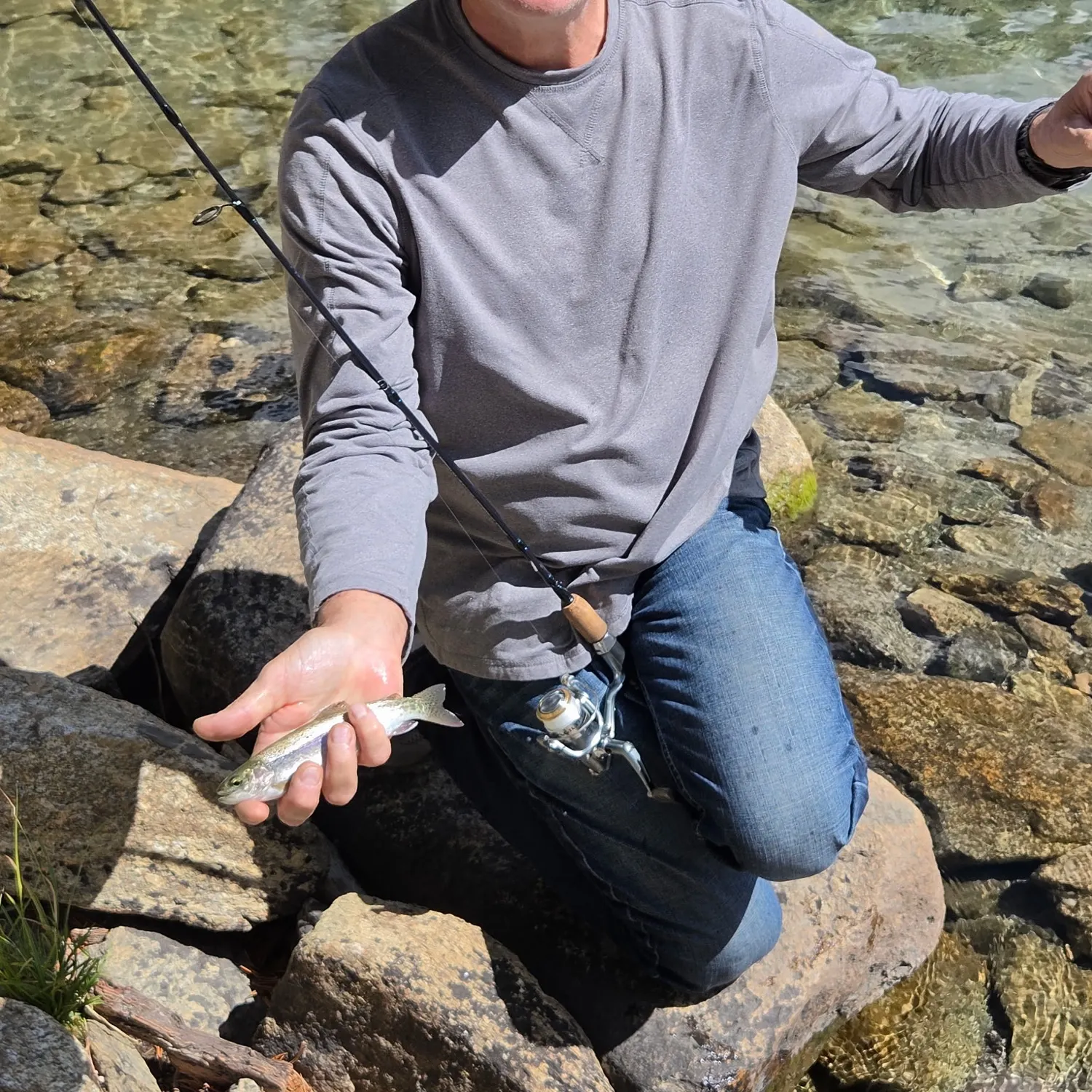 Rainbow trout caught on Fishbrain