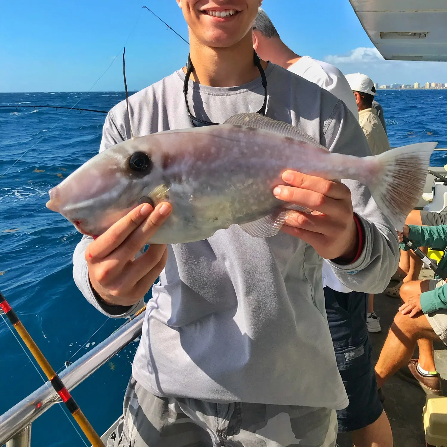 The most recent Unicorn leatherjacket filefish catches on Fishbrain