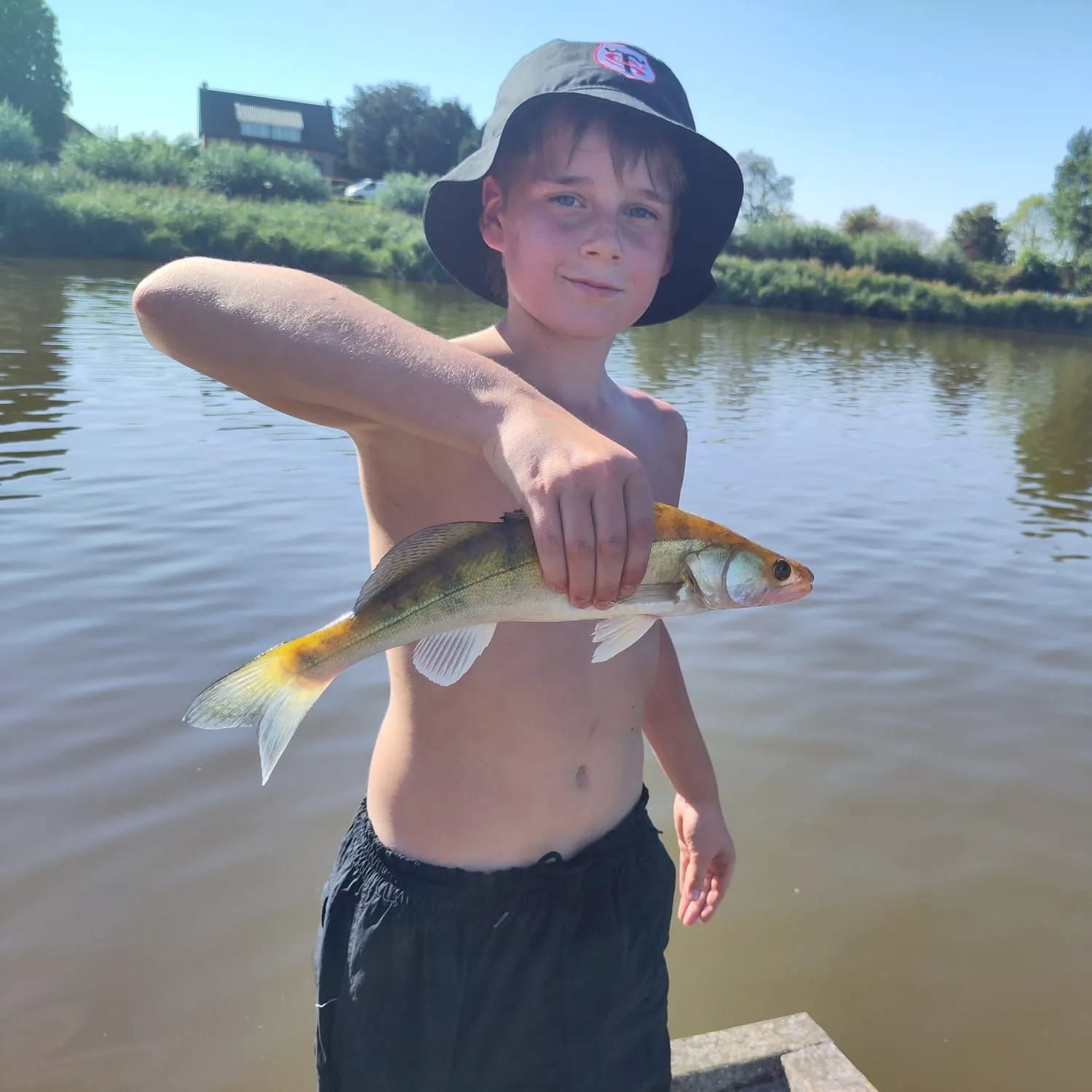 Zander caught on Fishbrain