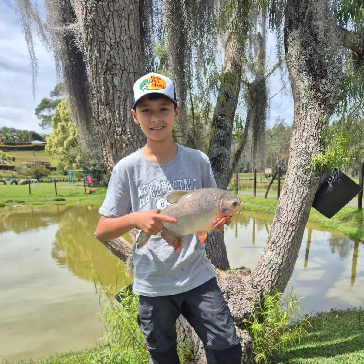 The most recent Red-bellied pacu catches on Fishbrain