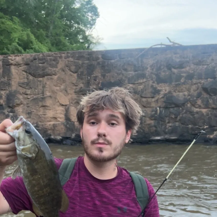 Smallmouth bass caught on Fishbrain