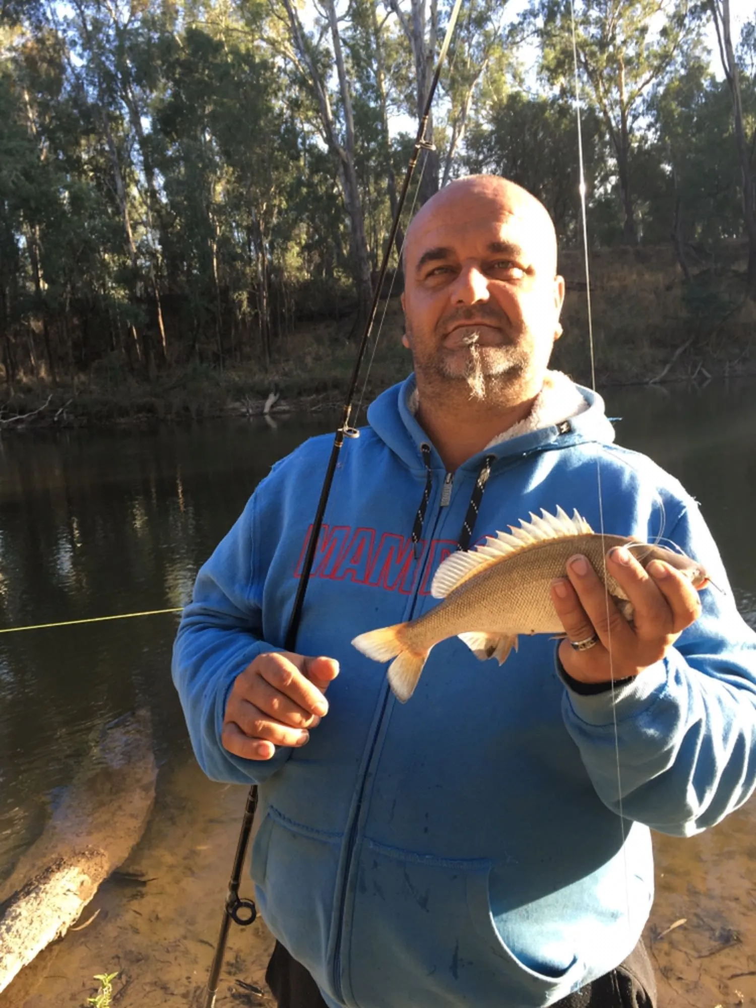 Post image from tziday5018