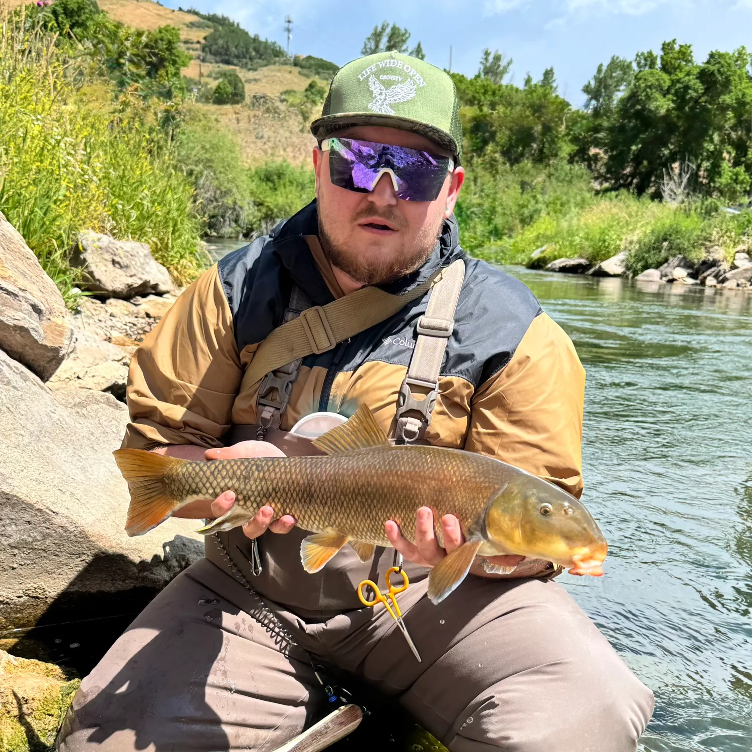 The most recent June sucker catches on Fishbrain