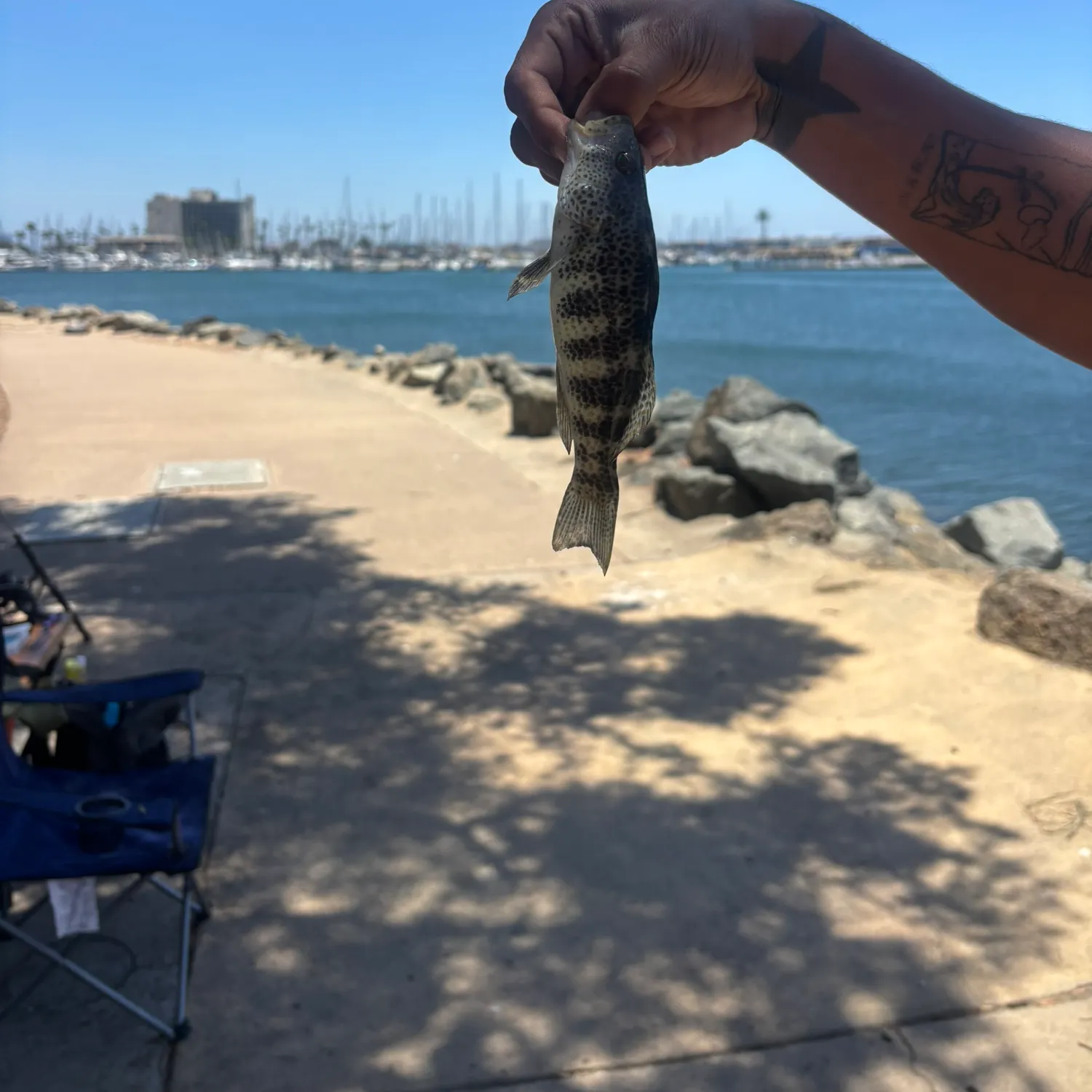 catch
