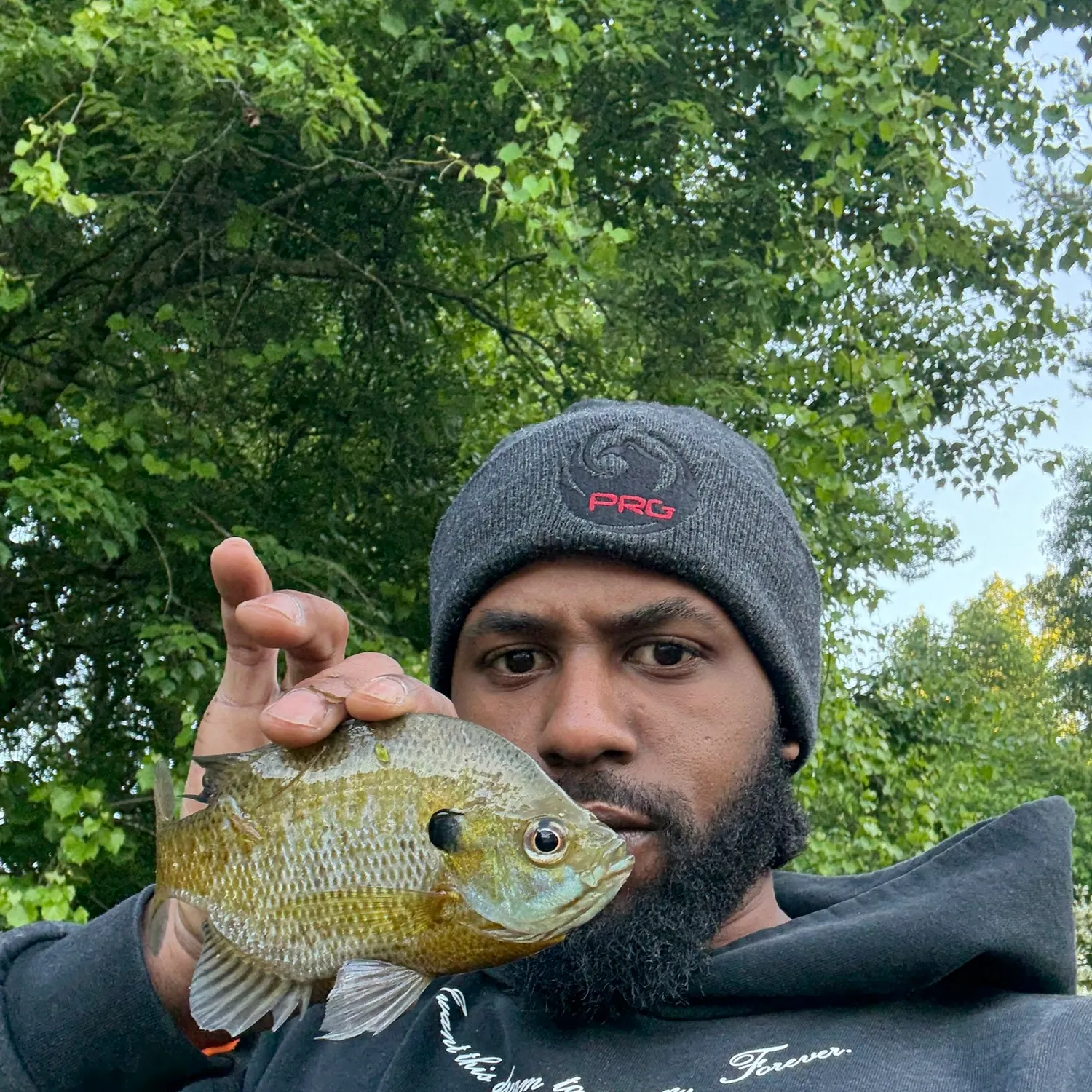 The most recent Bluegill catches on Fishbrain