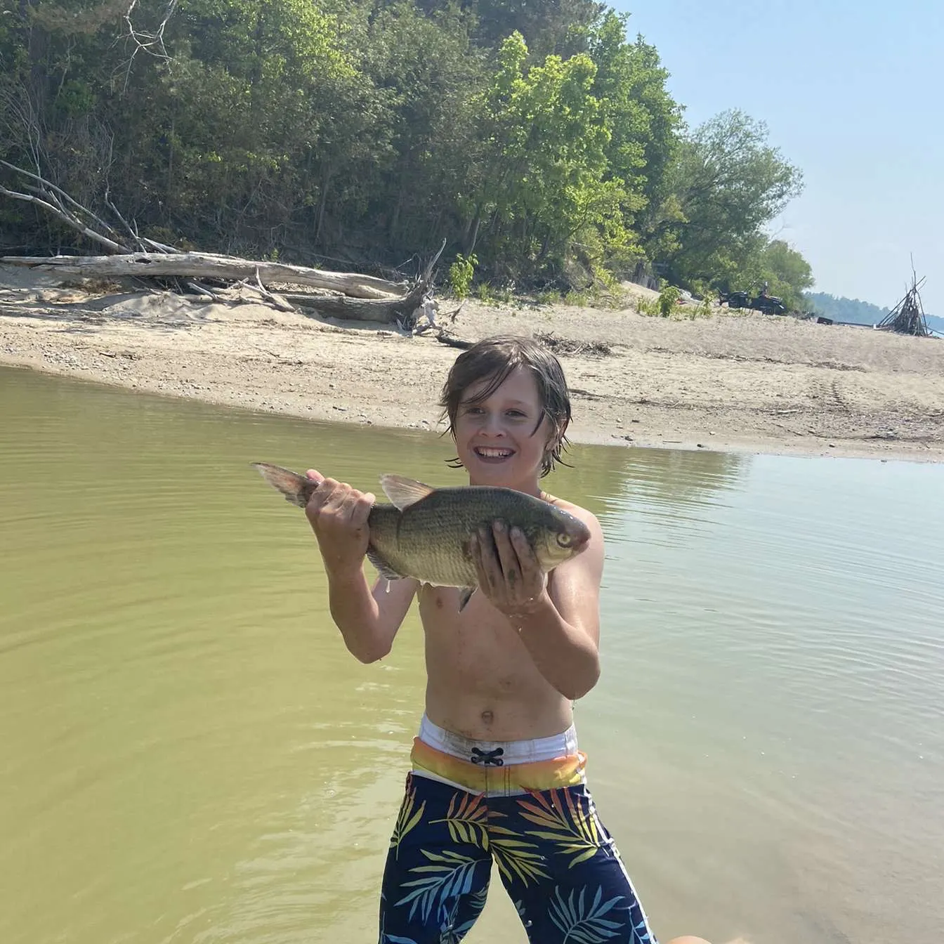 The most recent Lake whitefish catches on Fishbrain