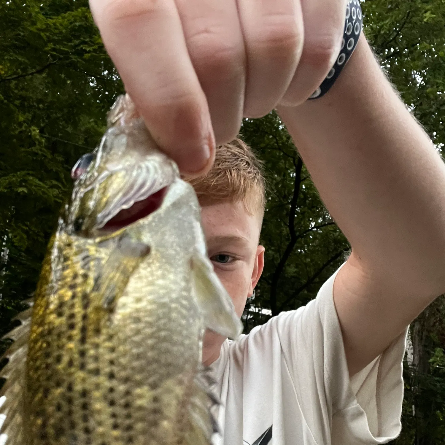 Roanoke bass caught on Fishbrain