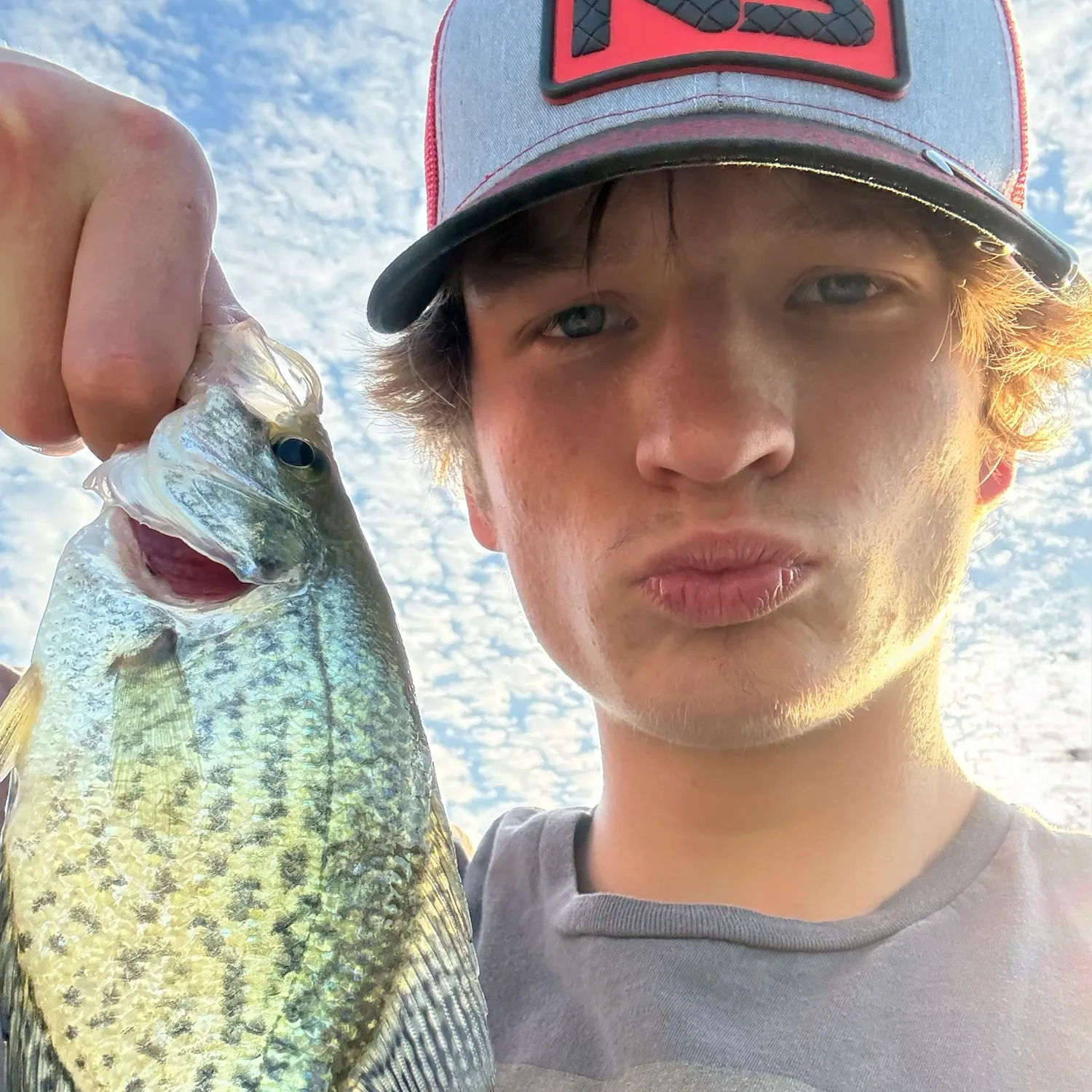 Black crappie caught on Fishbrain