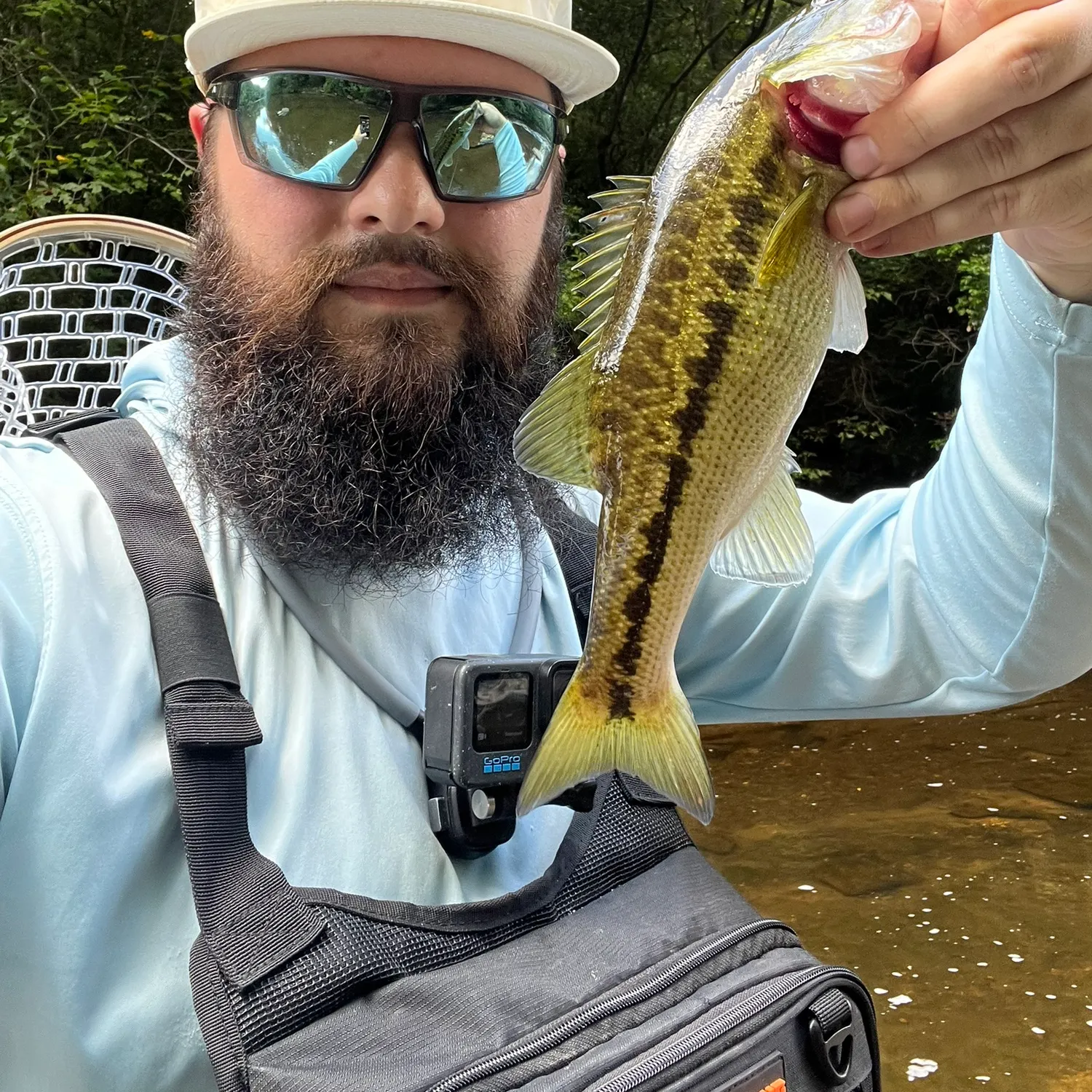 Spotted bass caught on Fishbrain