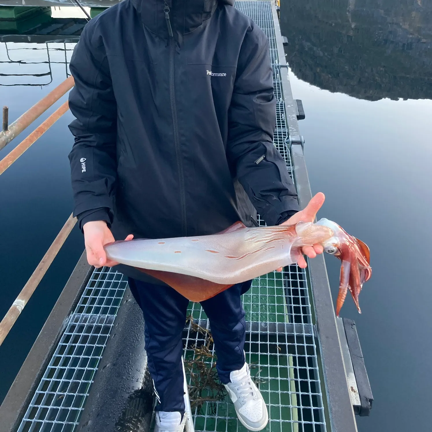 The most recent Gould's squid catches on Fishbrain