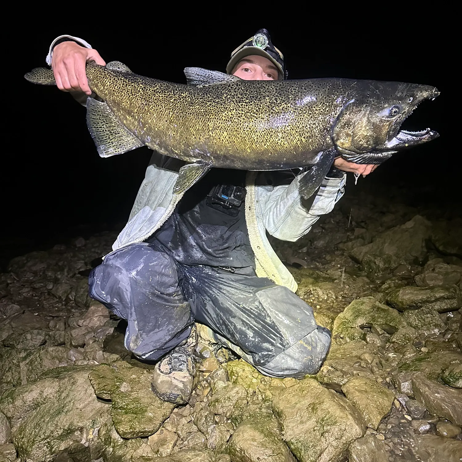 angler catch