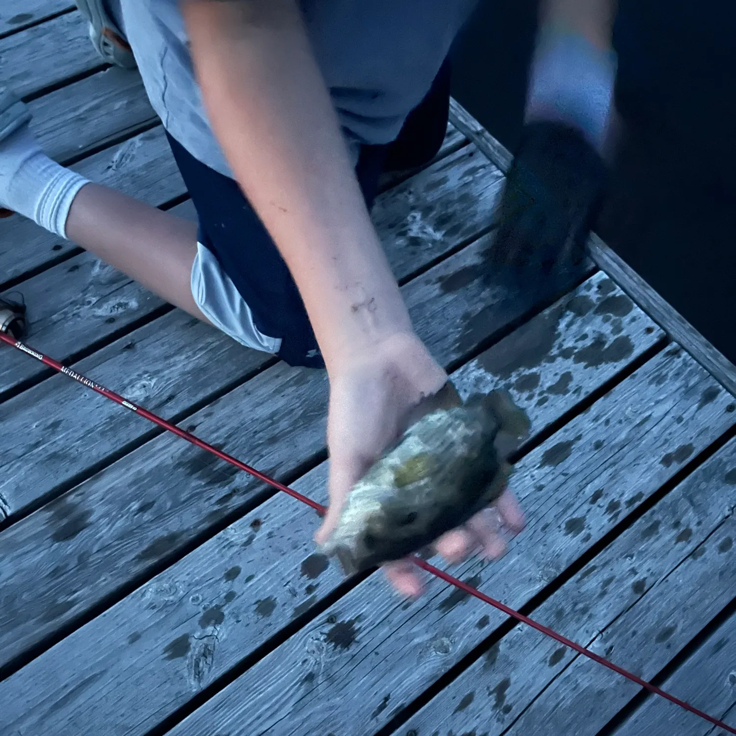 catch