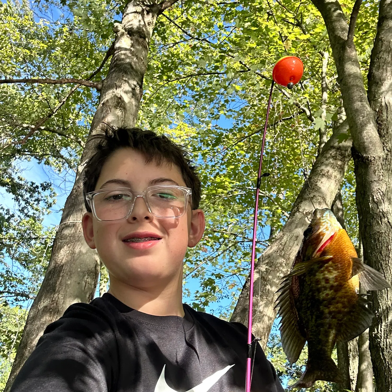 Bluegill caught on Fishbrain