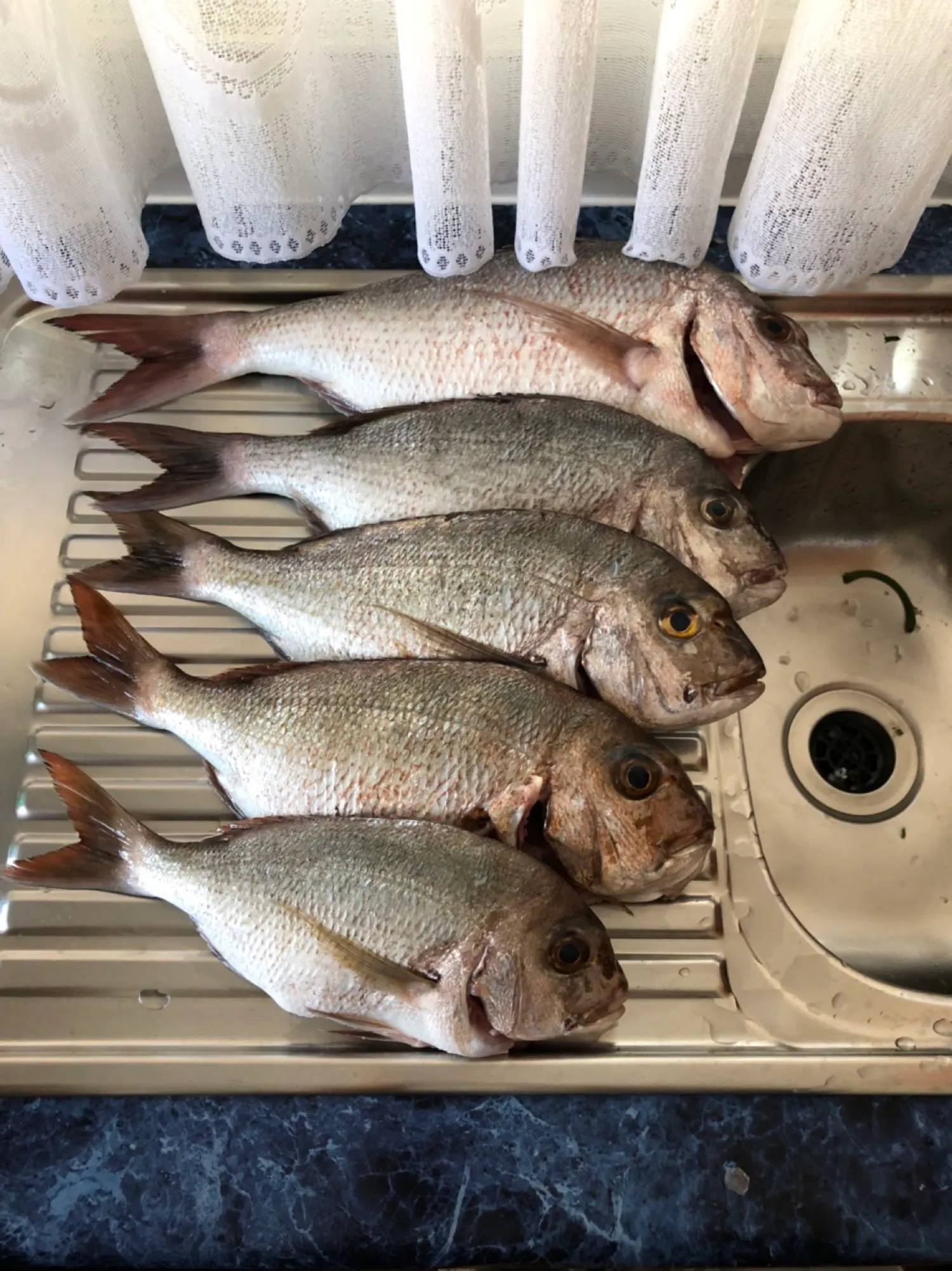 Post image from Ayri.Fikon