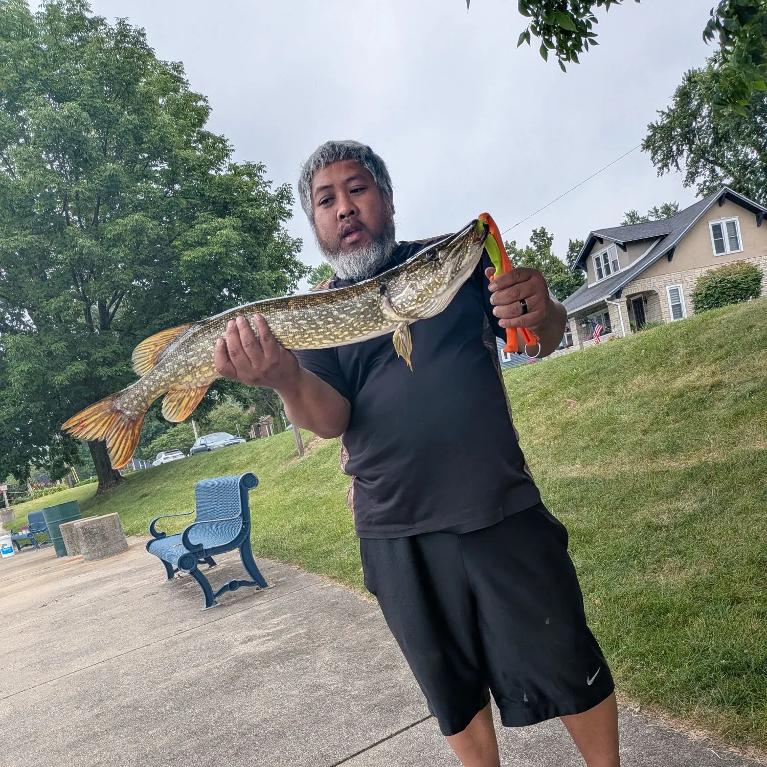 catch